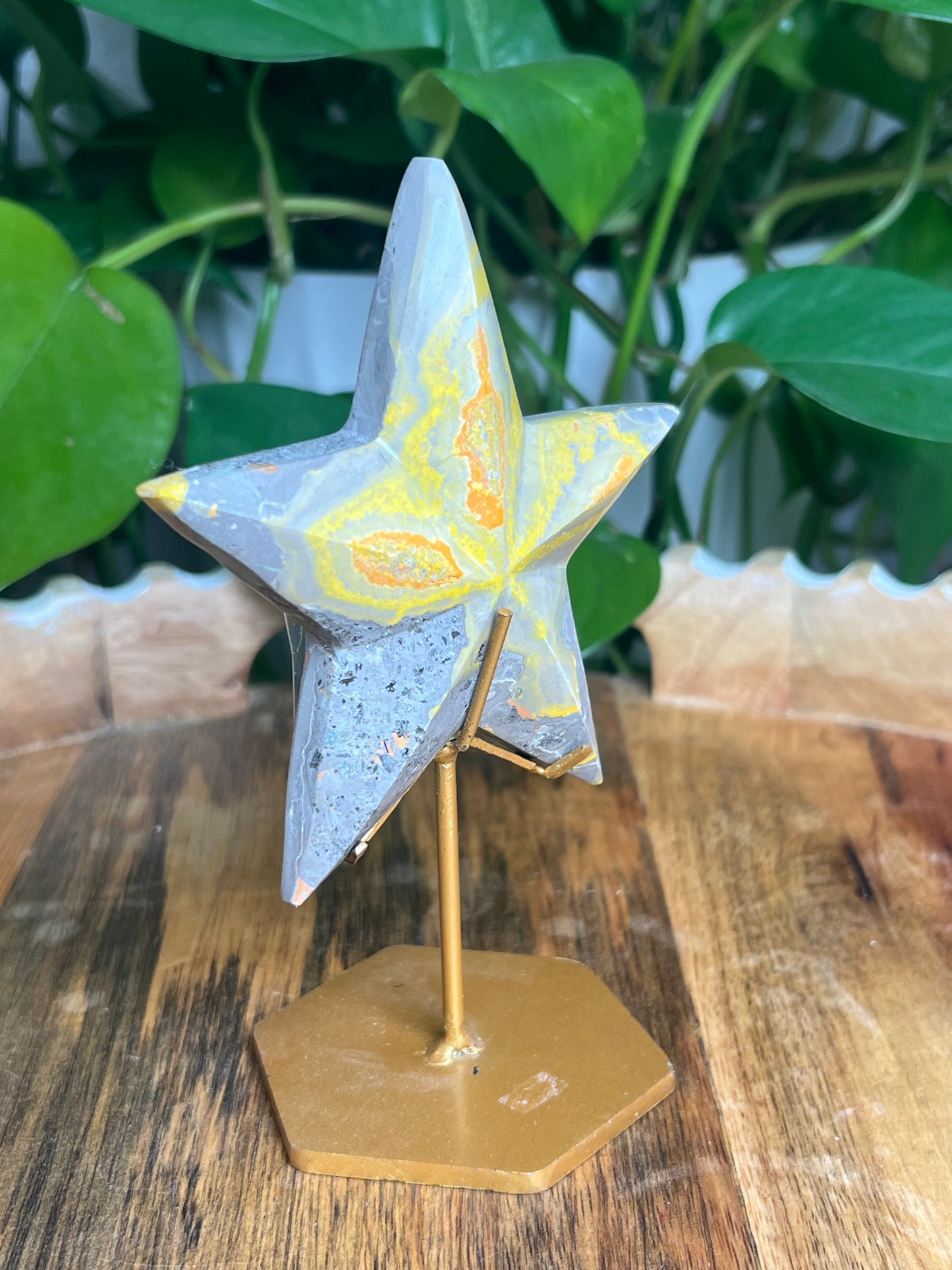 Bumblebee Jasper Star: PM
