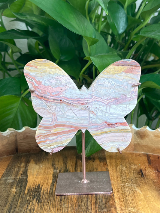 Crazy Lace Agate Butterfly: E