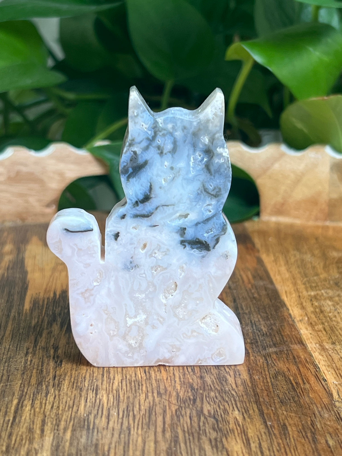 Rainbow Plume Agate Cat: NN