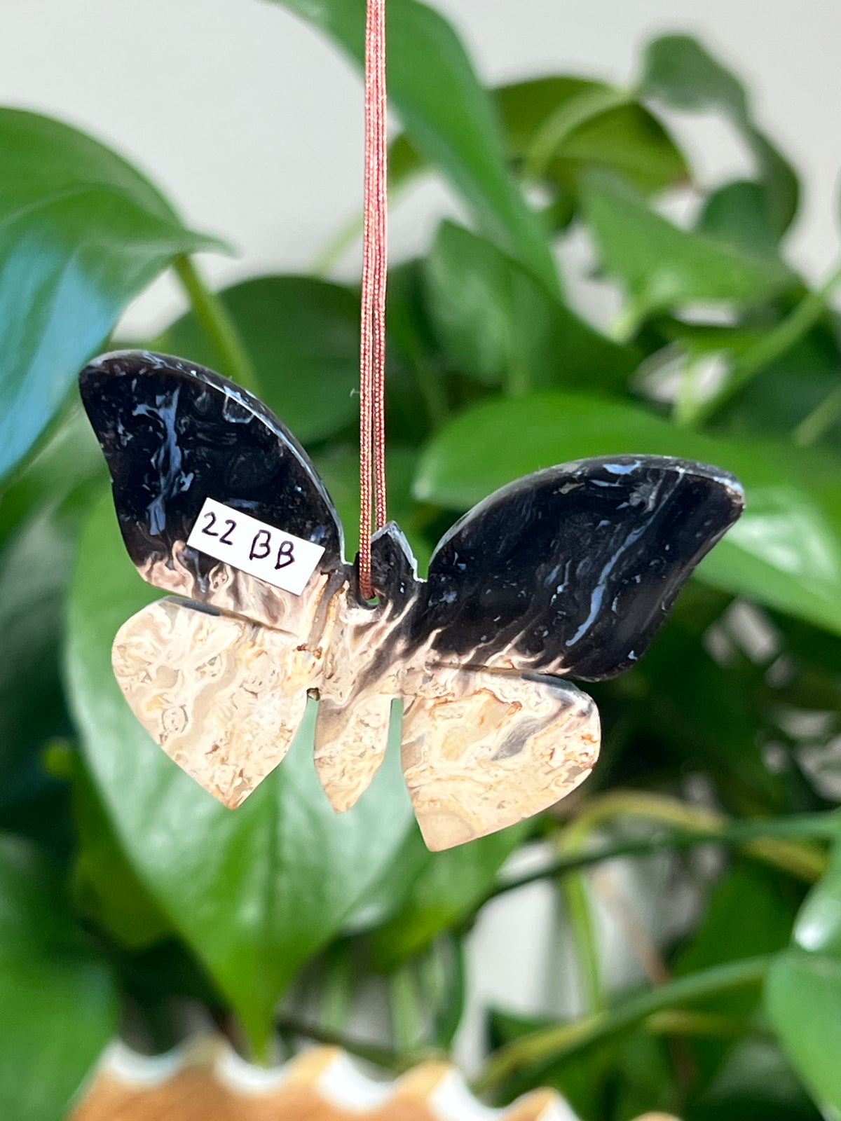 Palm Root Butterfly Ornaments