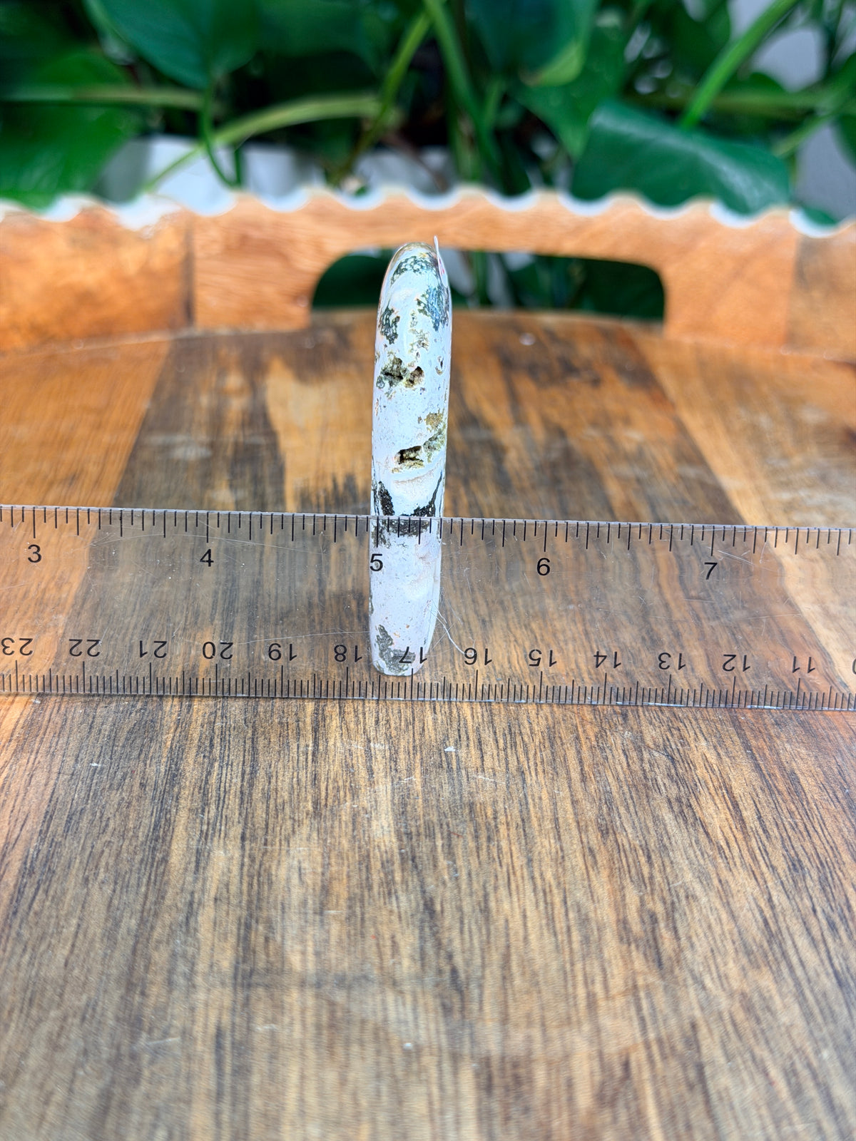 Sea Jasper Mini Freeforms