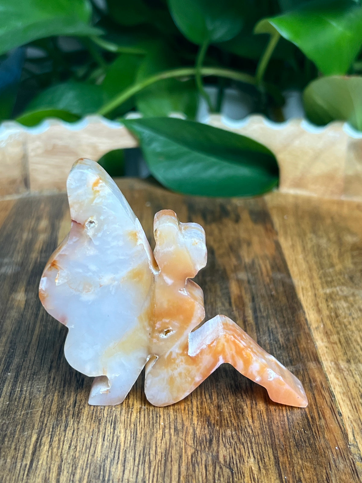Carnelian Pixie Fairy: AA
