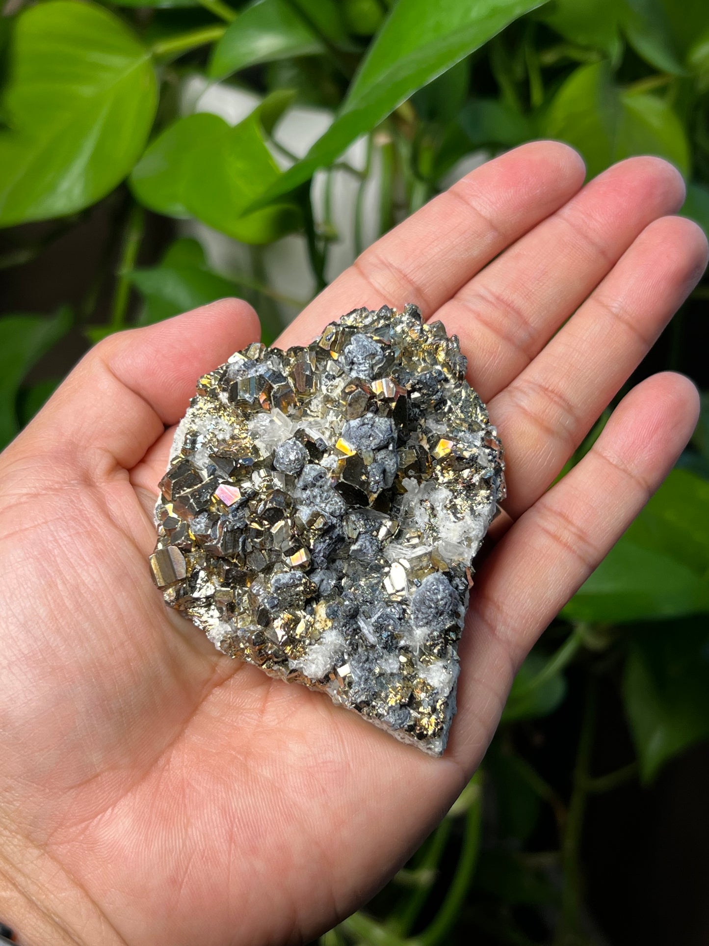 Rainbow Pyrite
