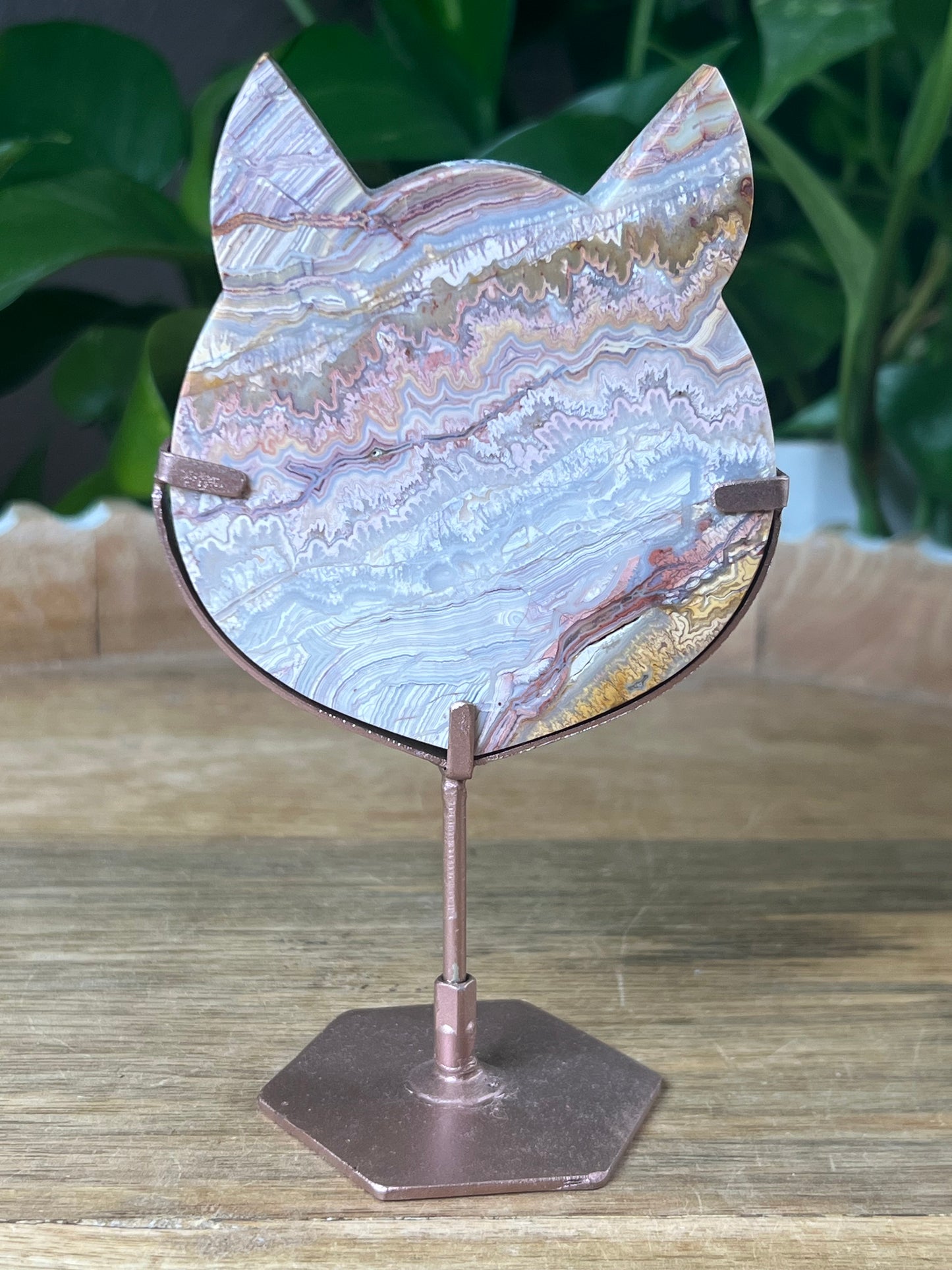 Crazy Lace Agate Cat