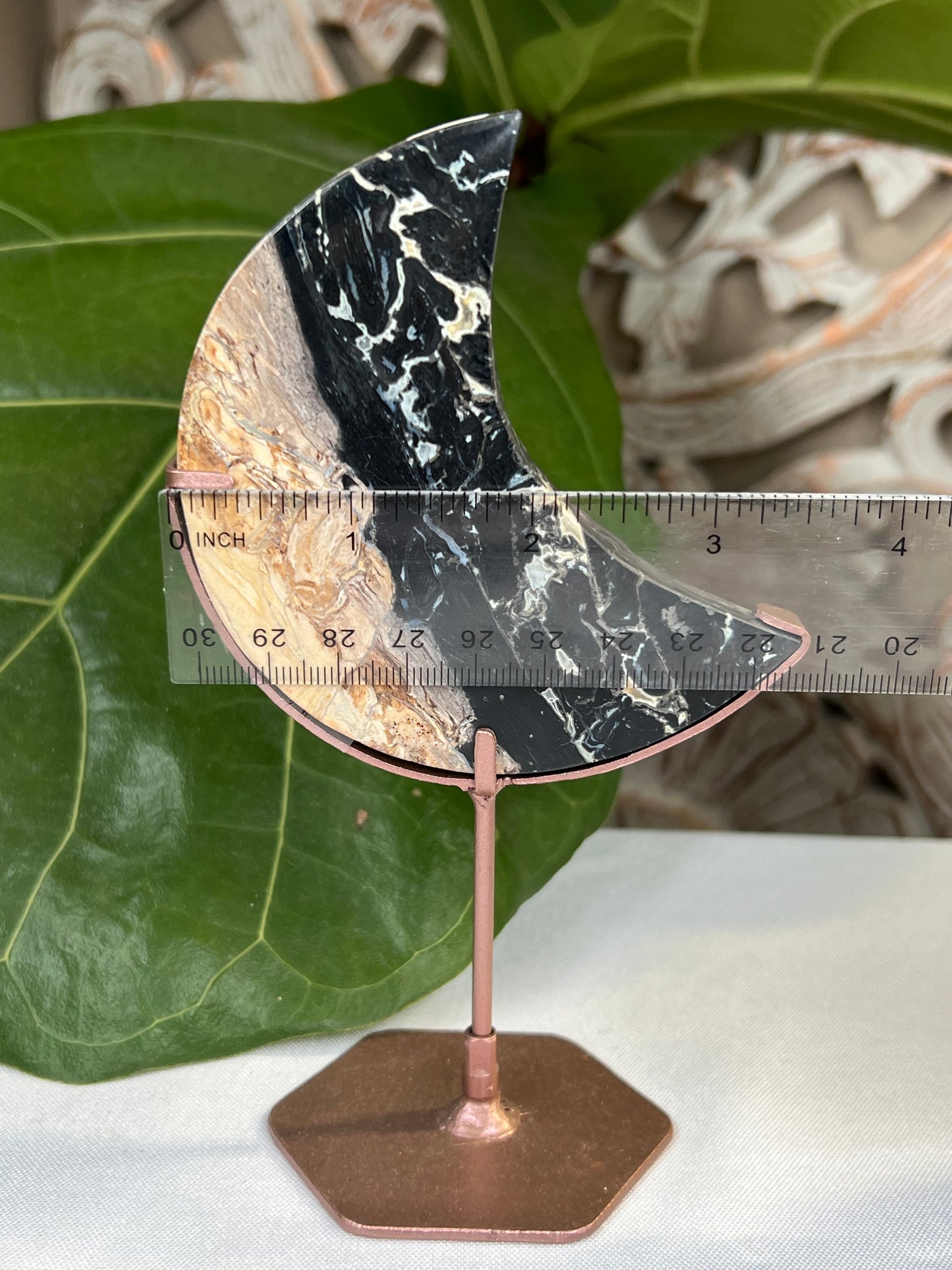 Palm Root Moon