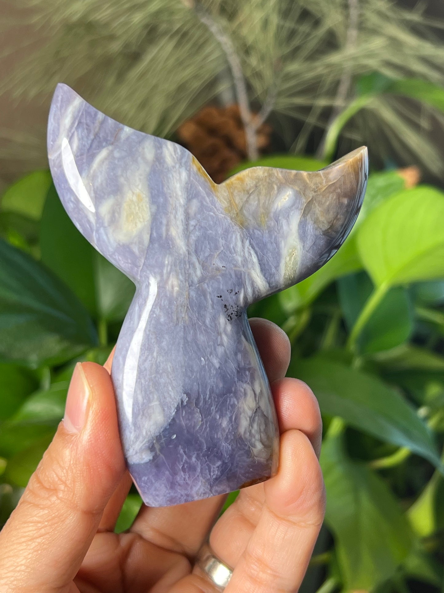 Purple Chalcedony Tail