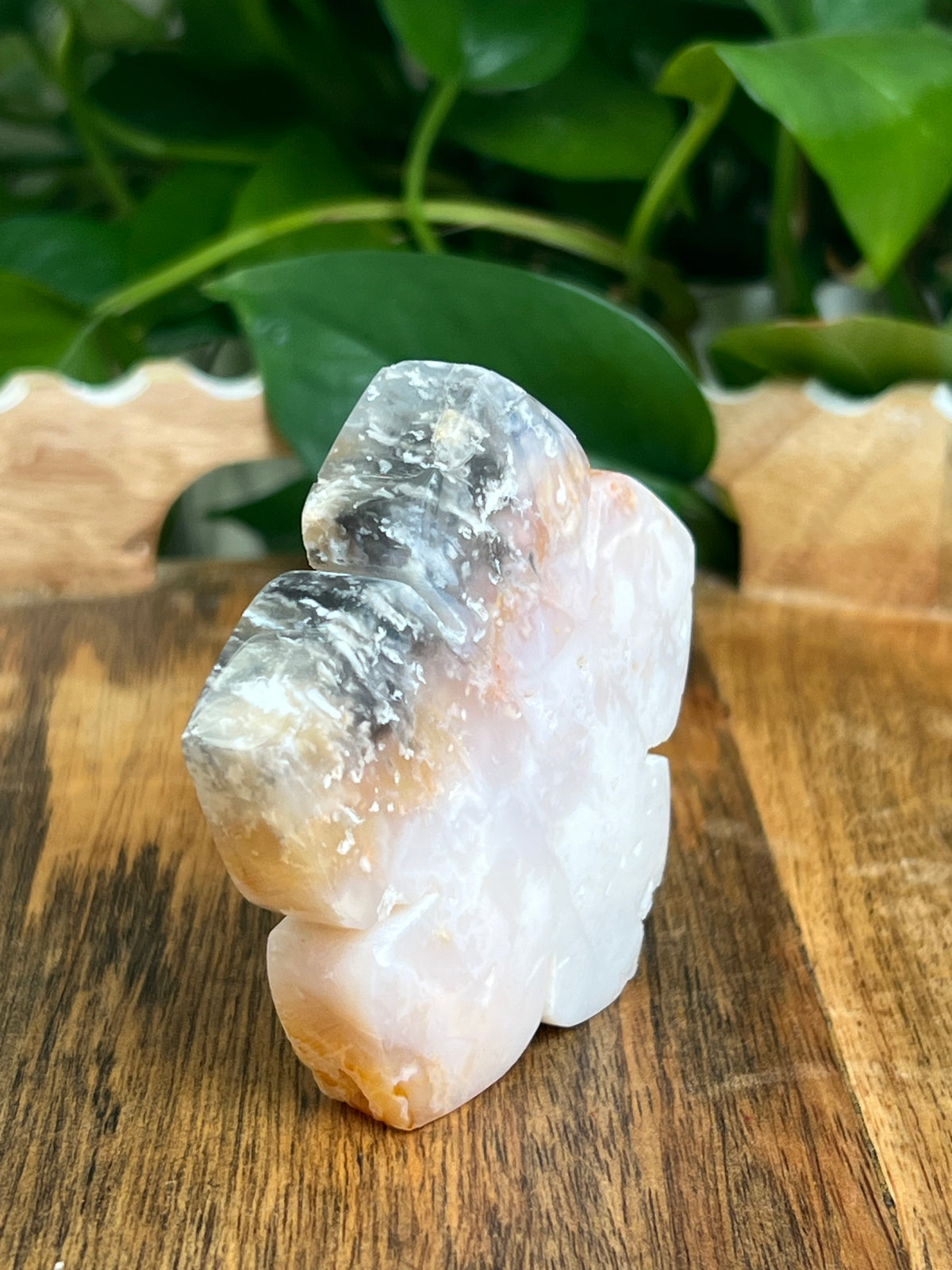 Rainbow Plume Agate Flower: PB