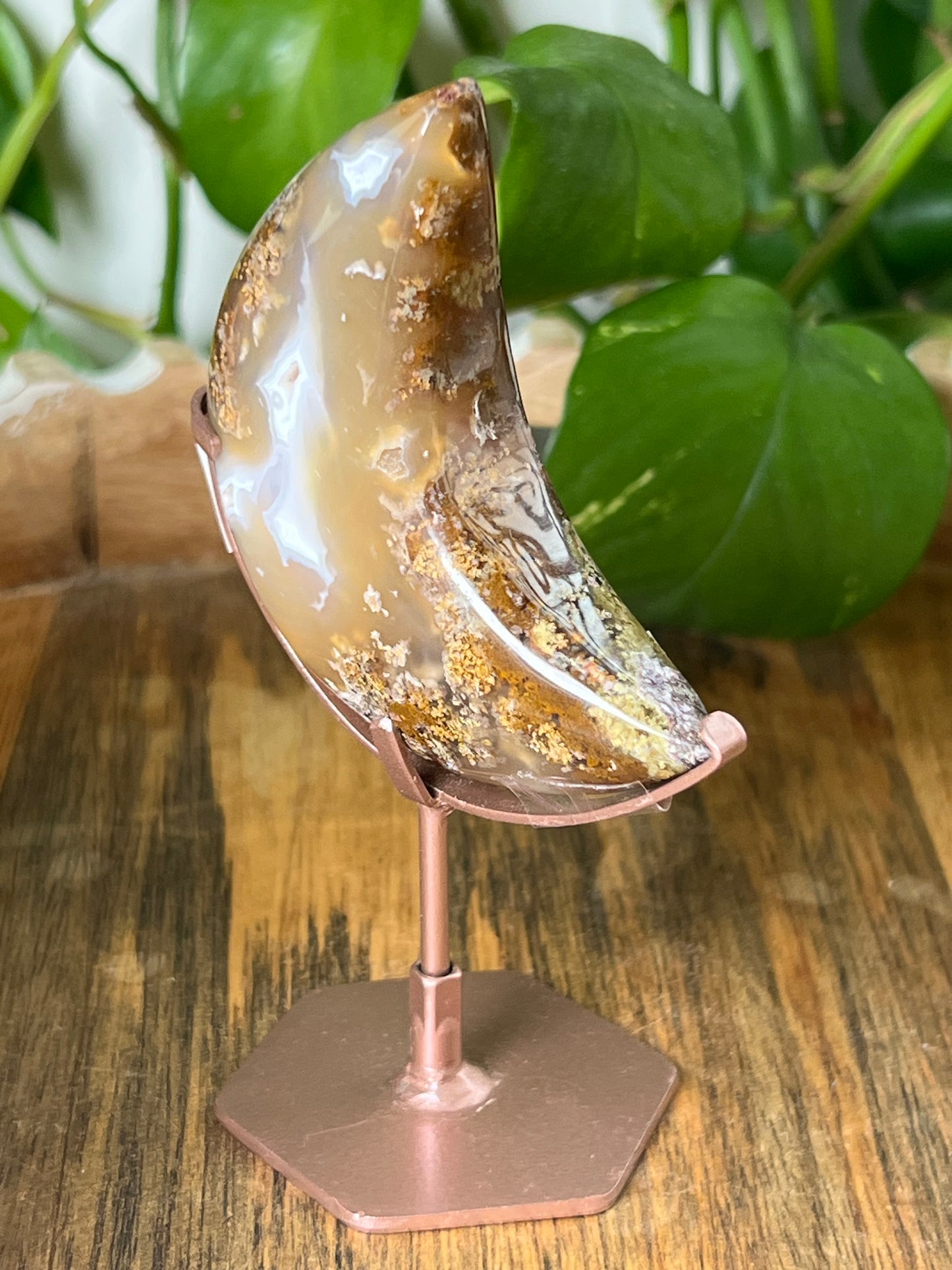 Scenic Moss Agate Moon