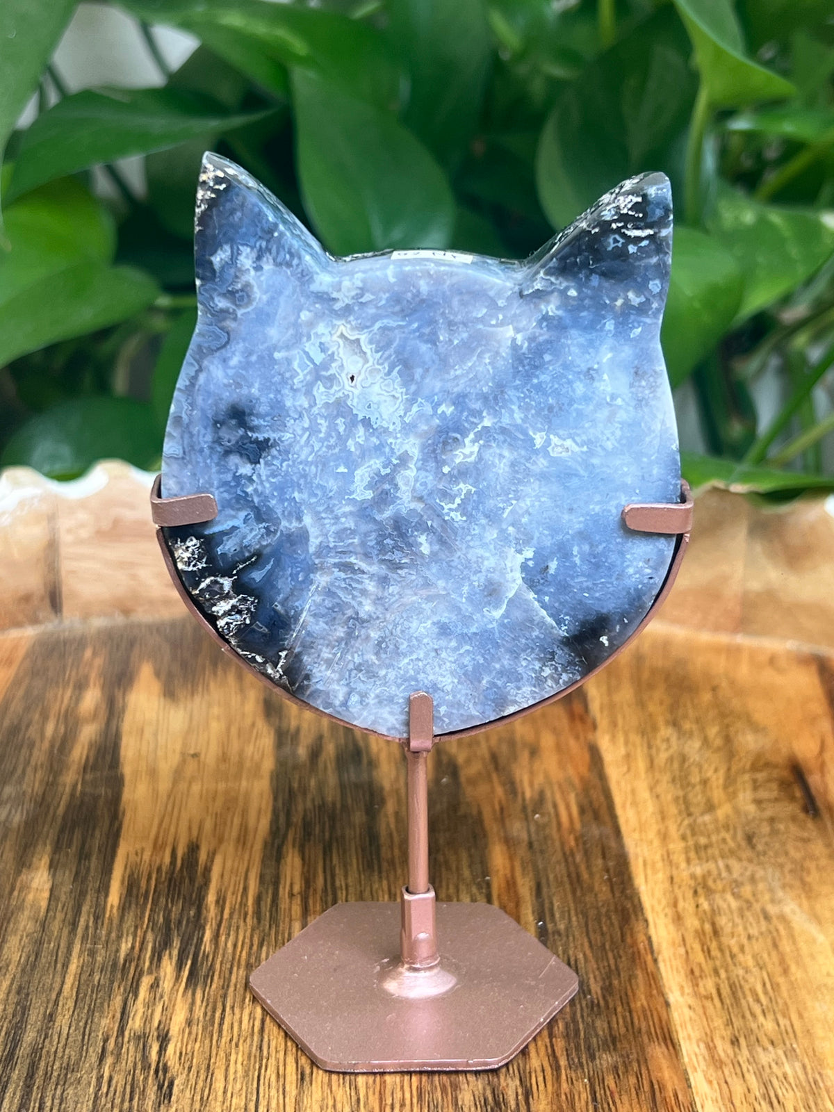 Blue Plume Agate Cat Head: NK
