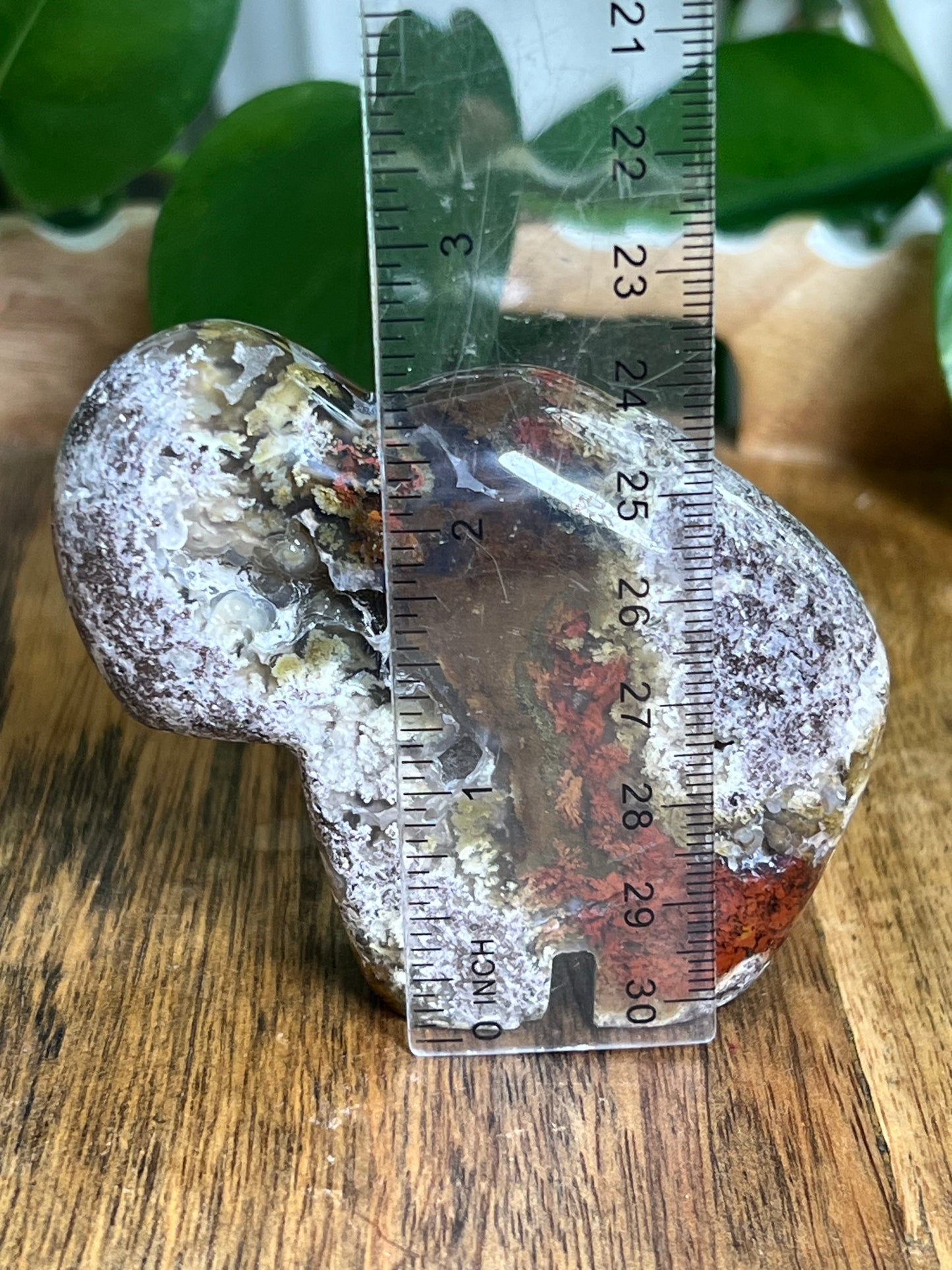 Scenic Moss Agate Buffalo NA