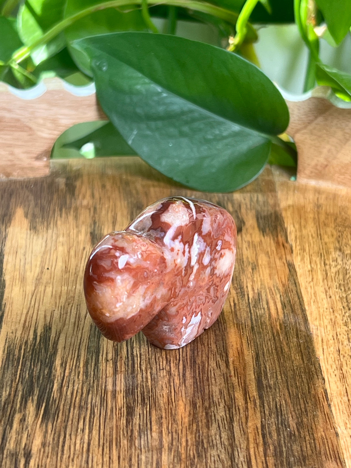 Carnelian Mini Buffalo: Bi