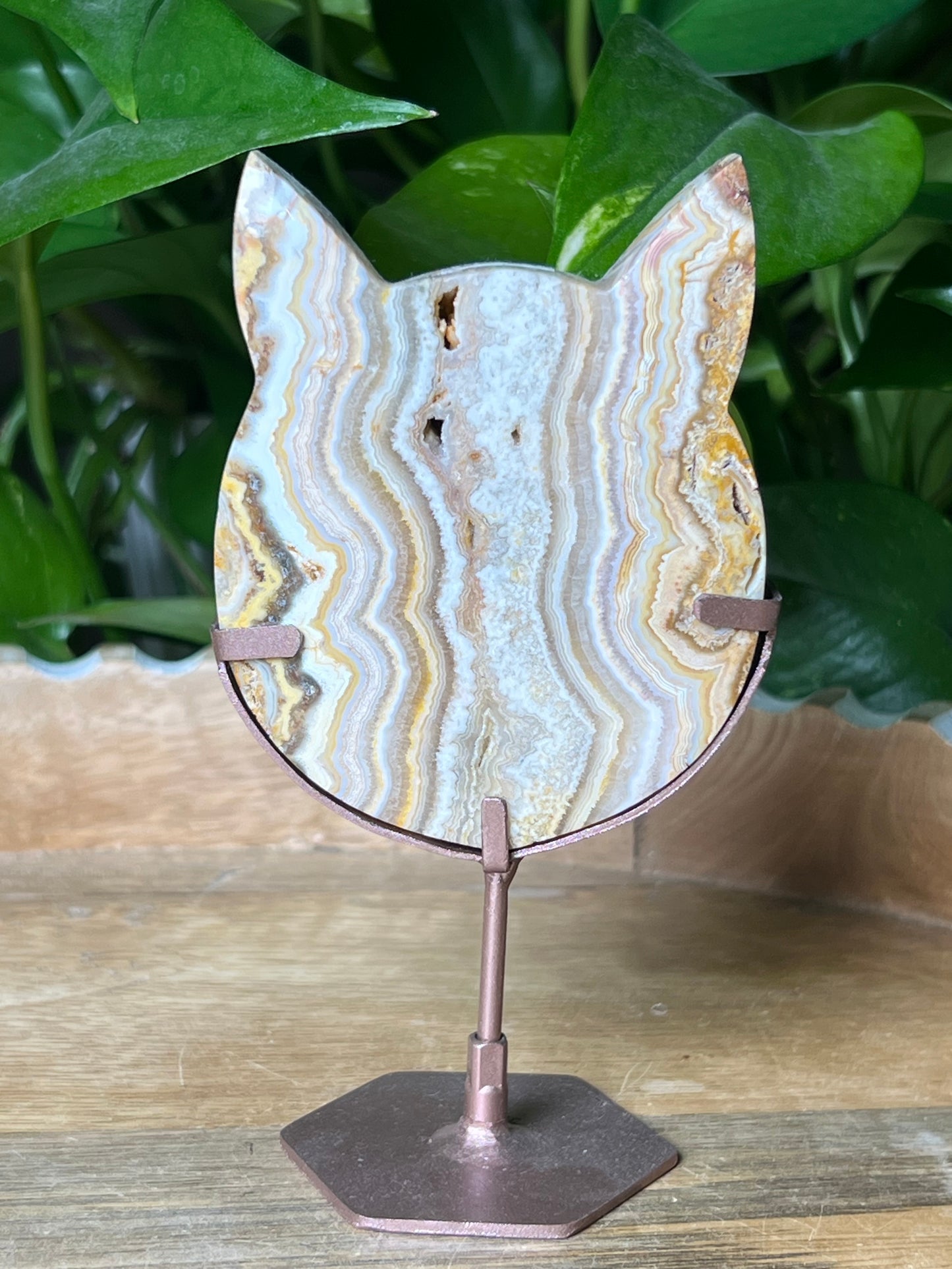 Crazy Lace Agate Cat Head