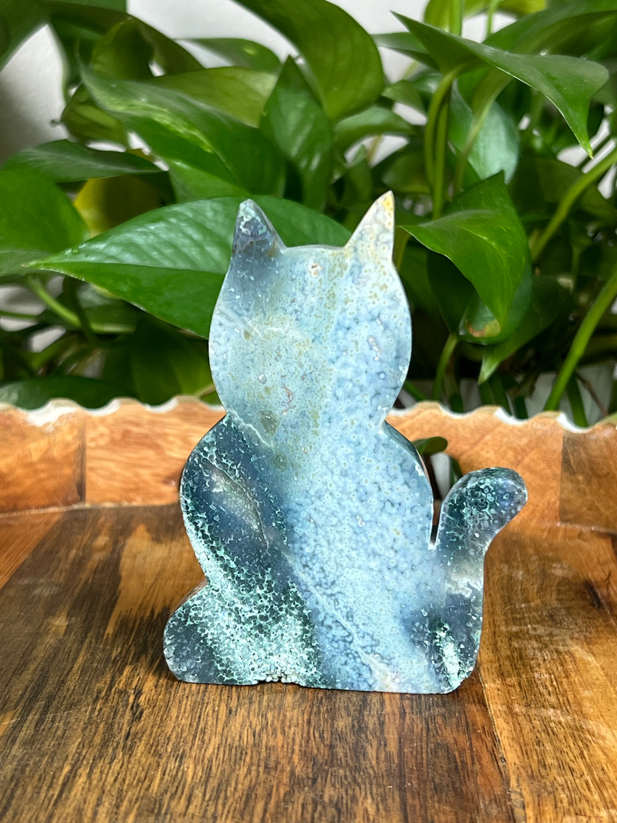 Grape Agate Cat: AE