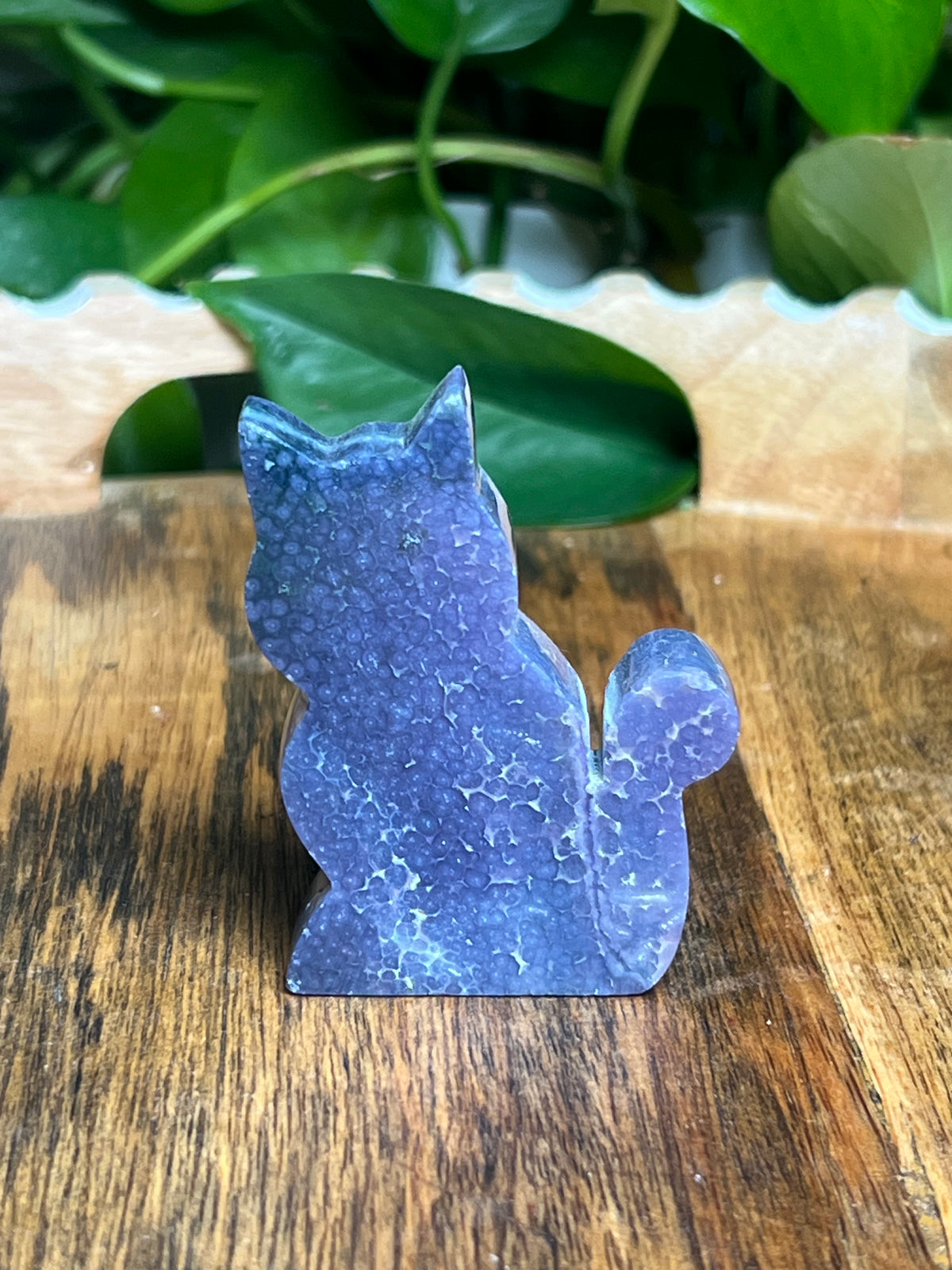 Grape Agate Mini Cat: BD