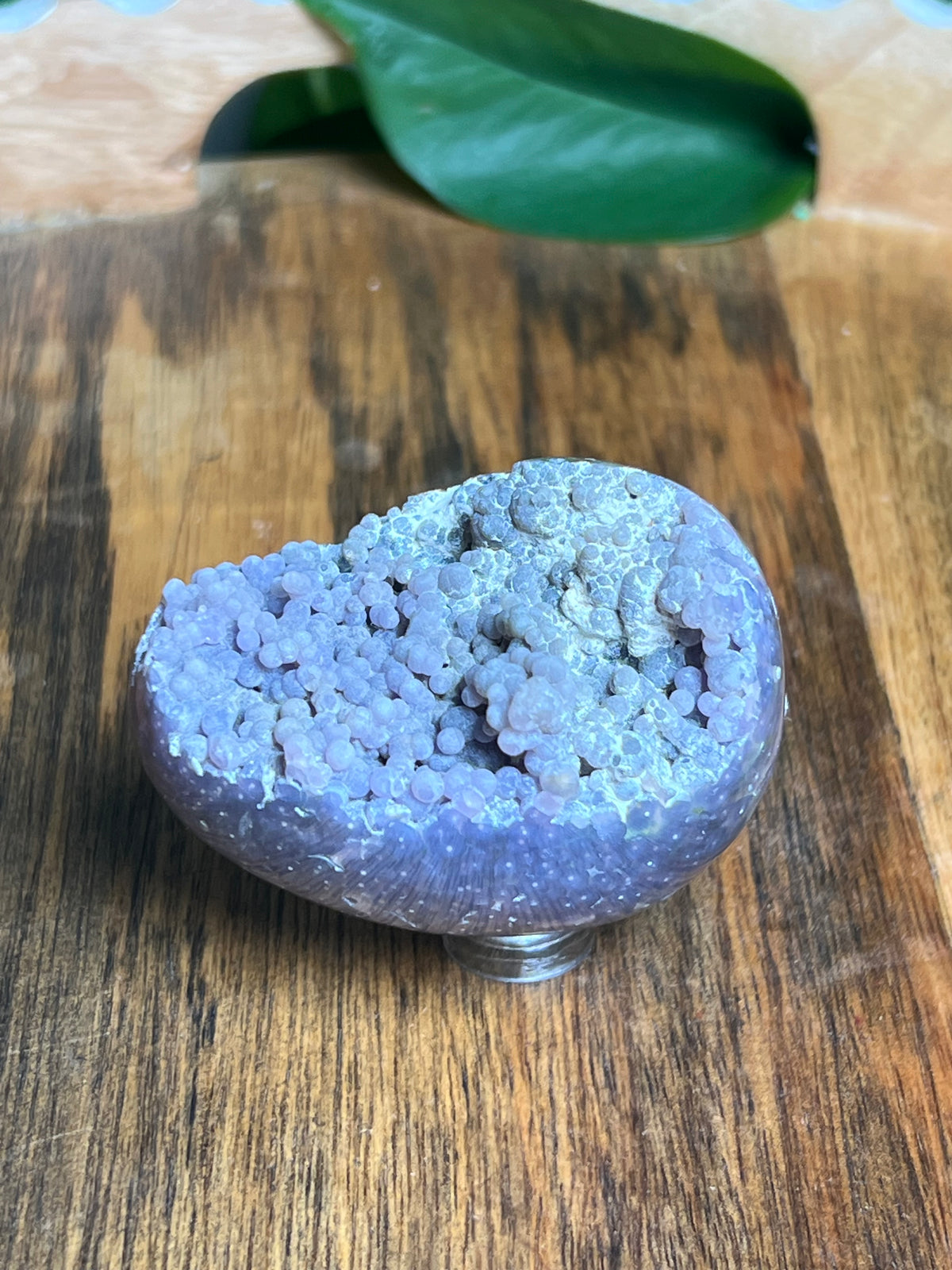 Grape Agate Egg: NC