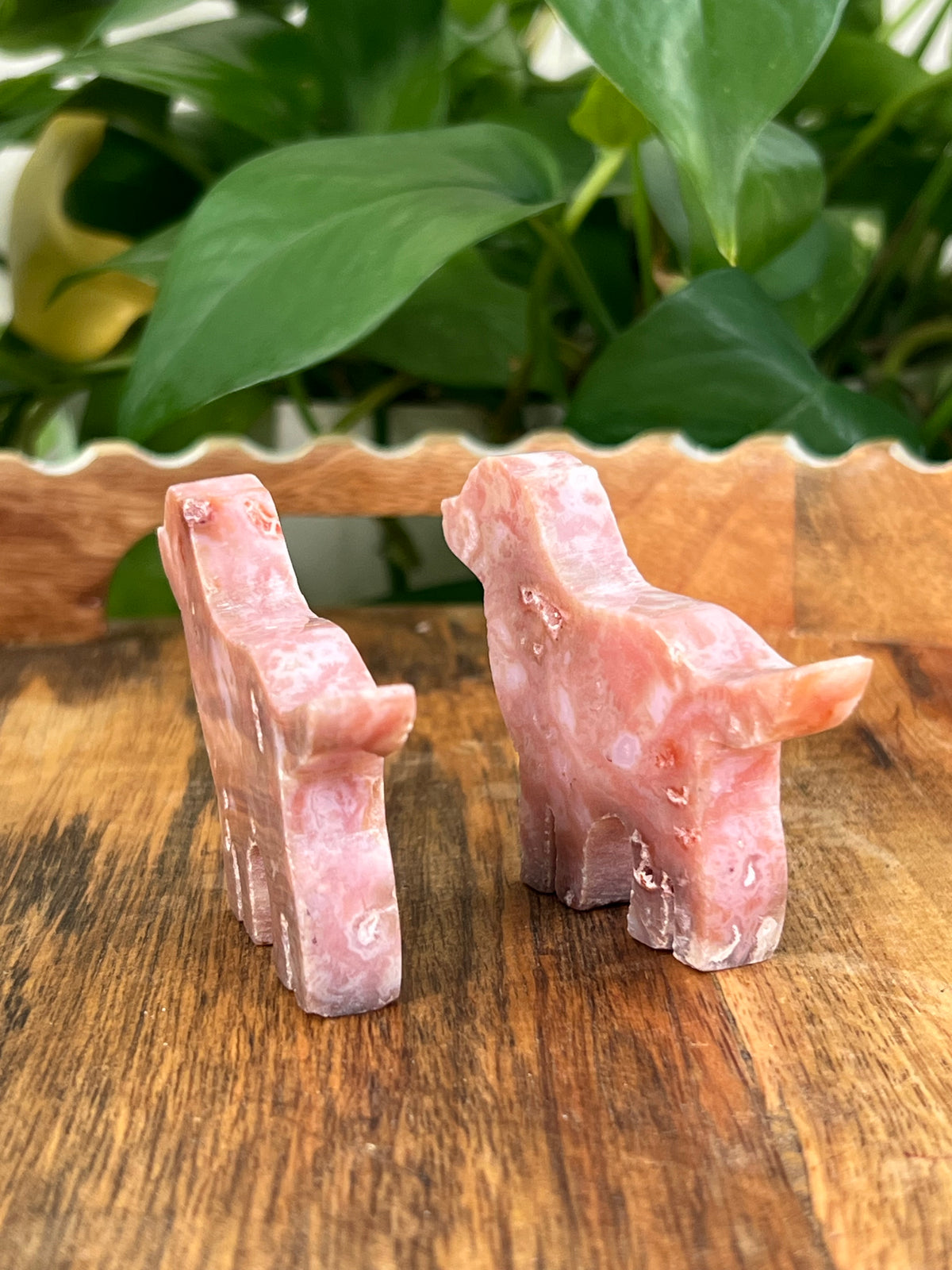 Pink Carnelian Dogs