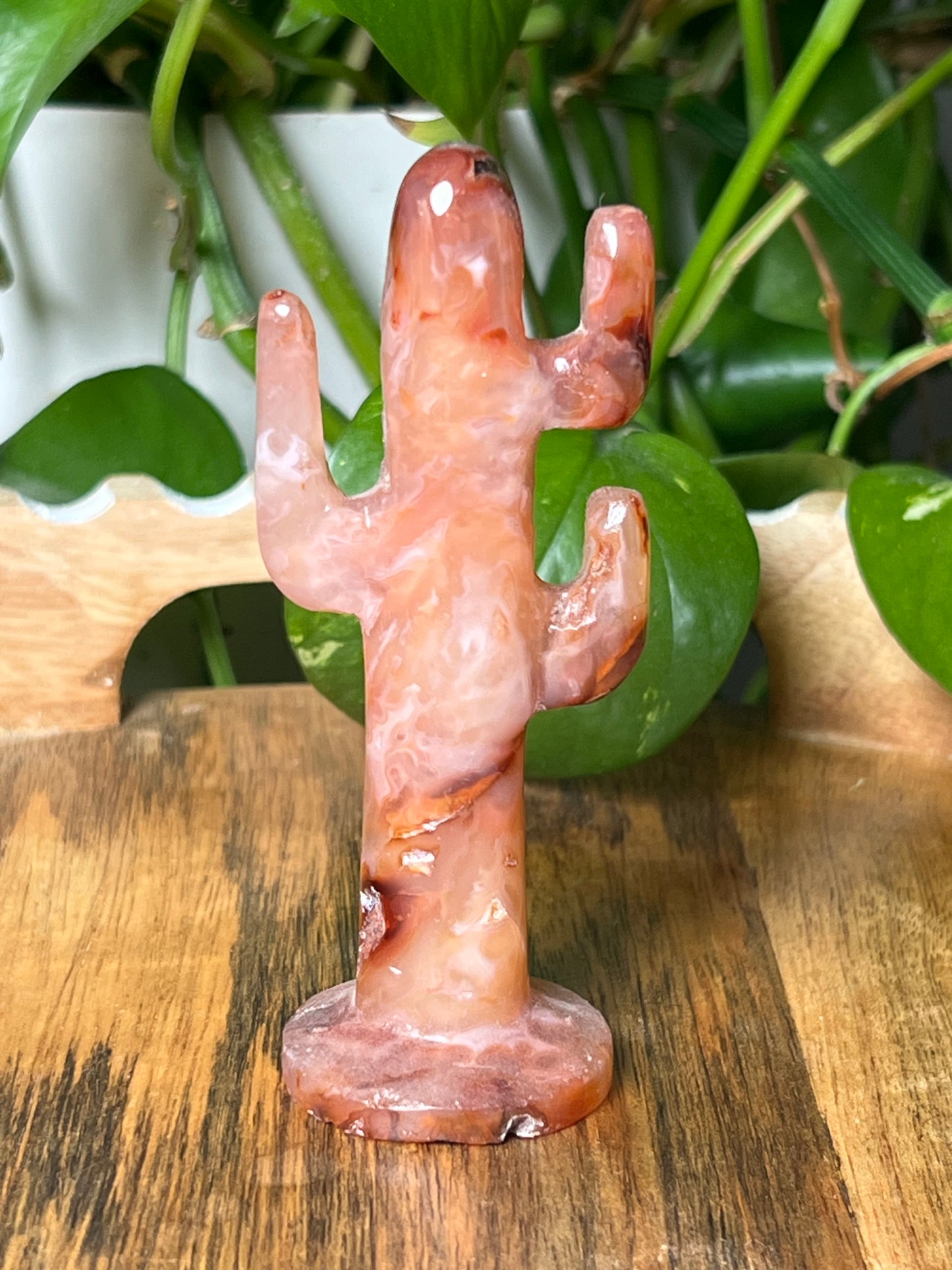 Pink Carnelian Cactus