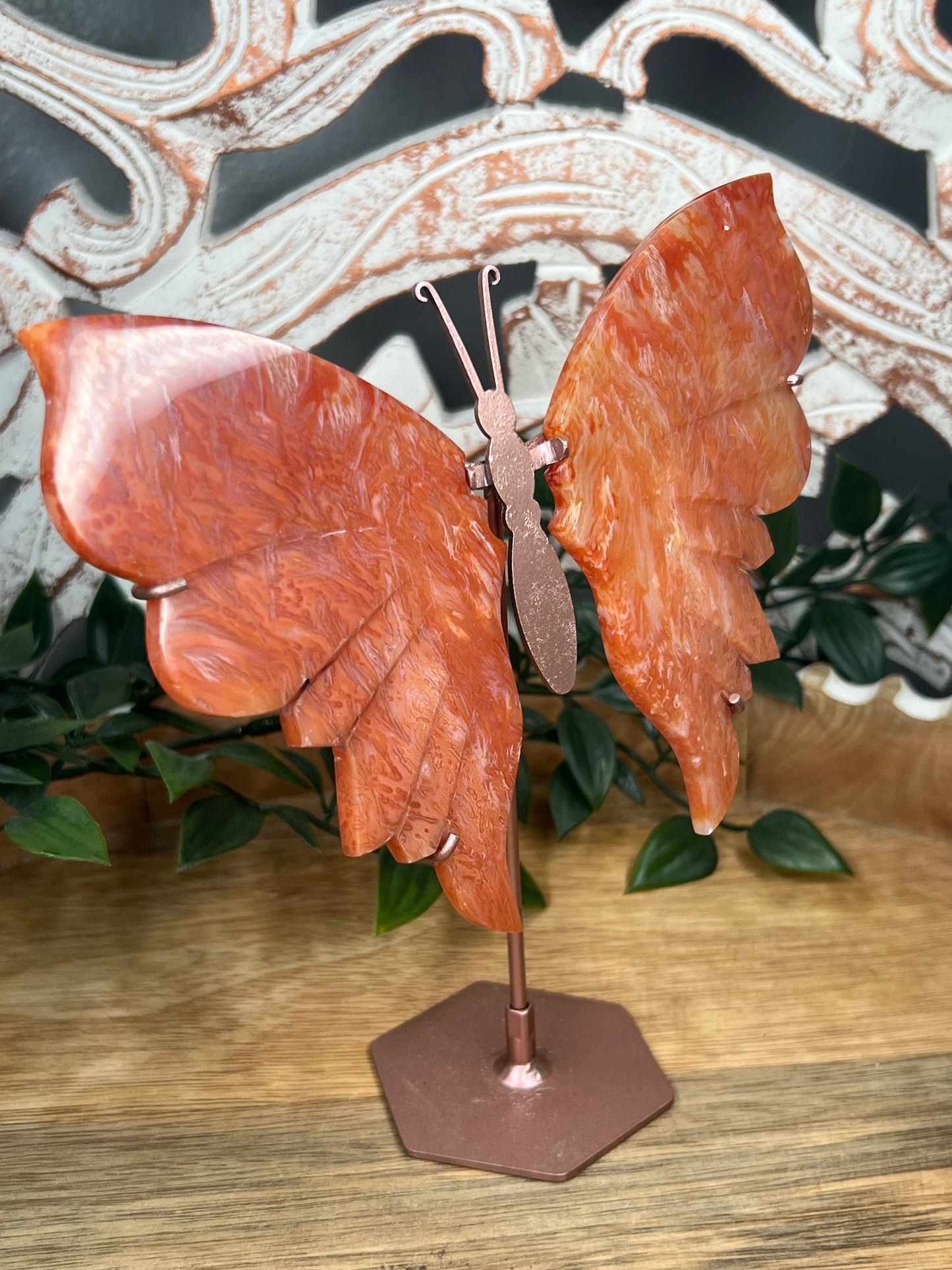 Carnelian Wings