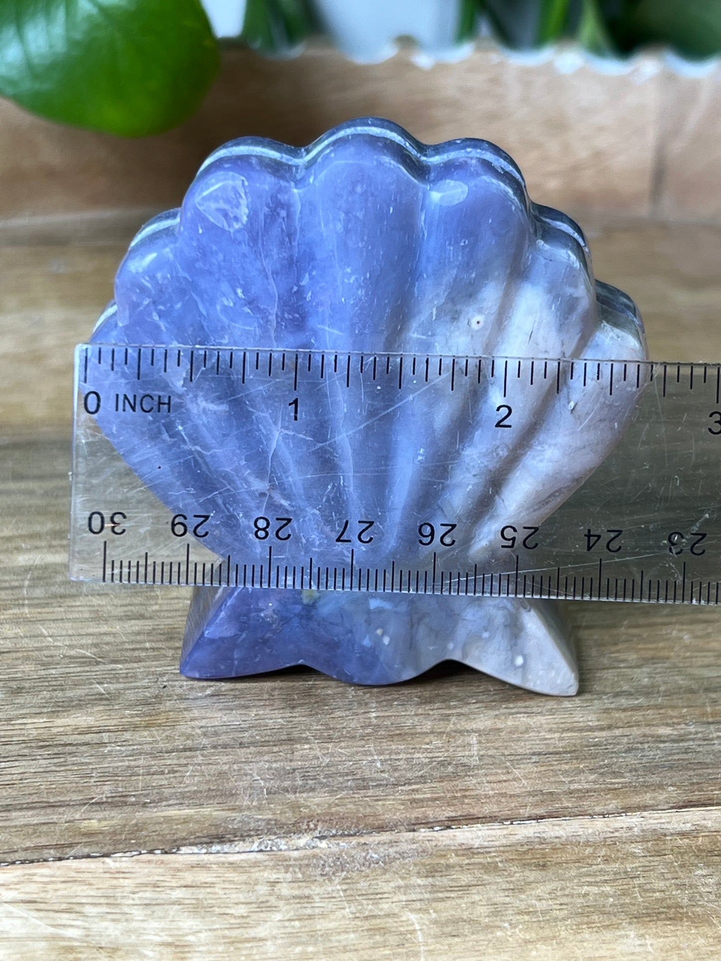Purple Chalcedony Shell