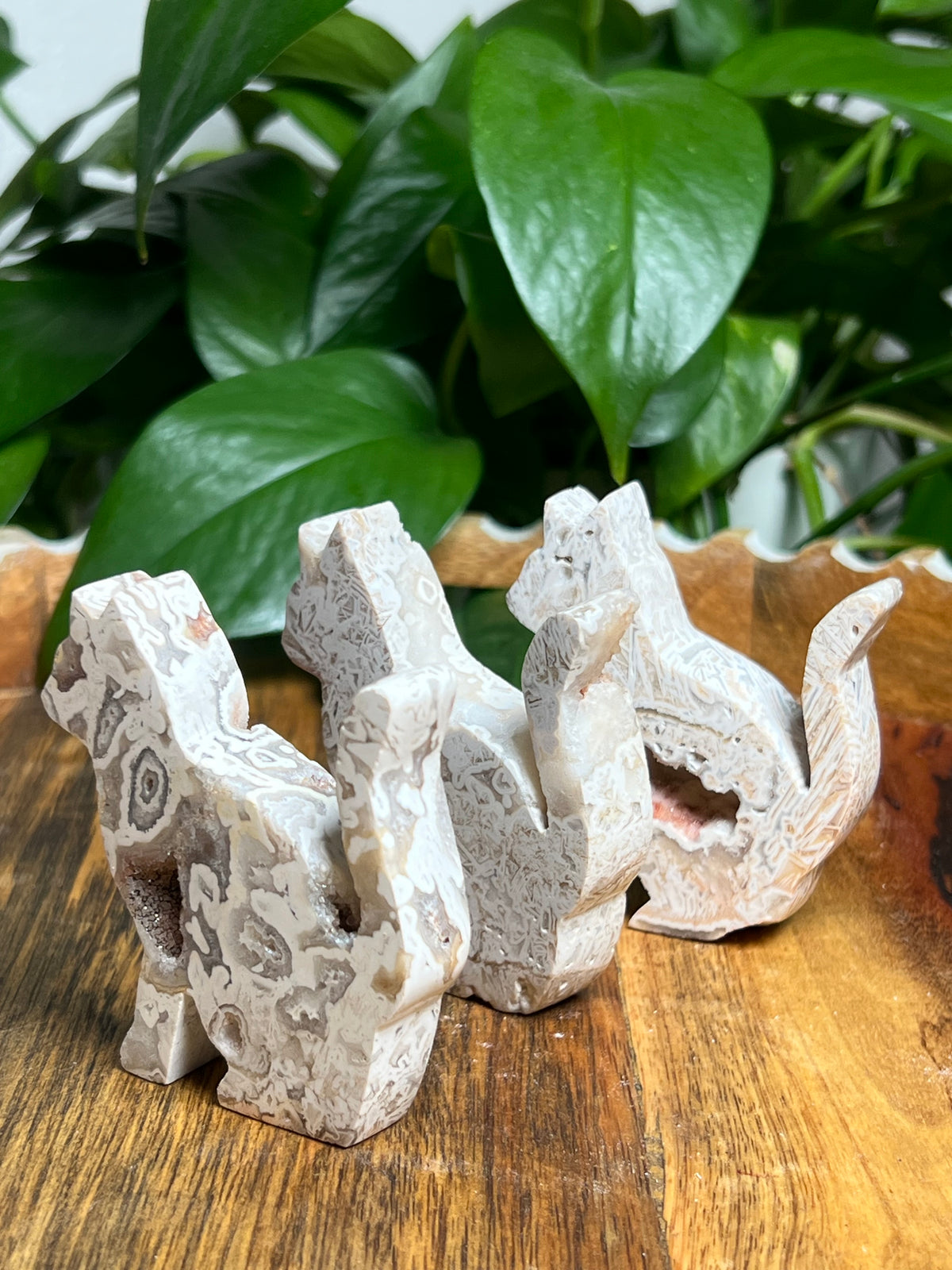 Tube Agate Cats
