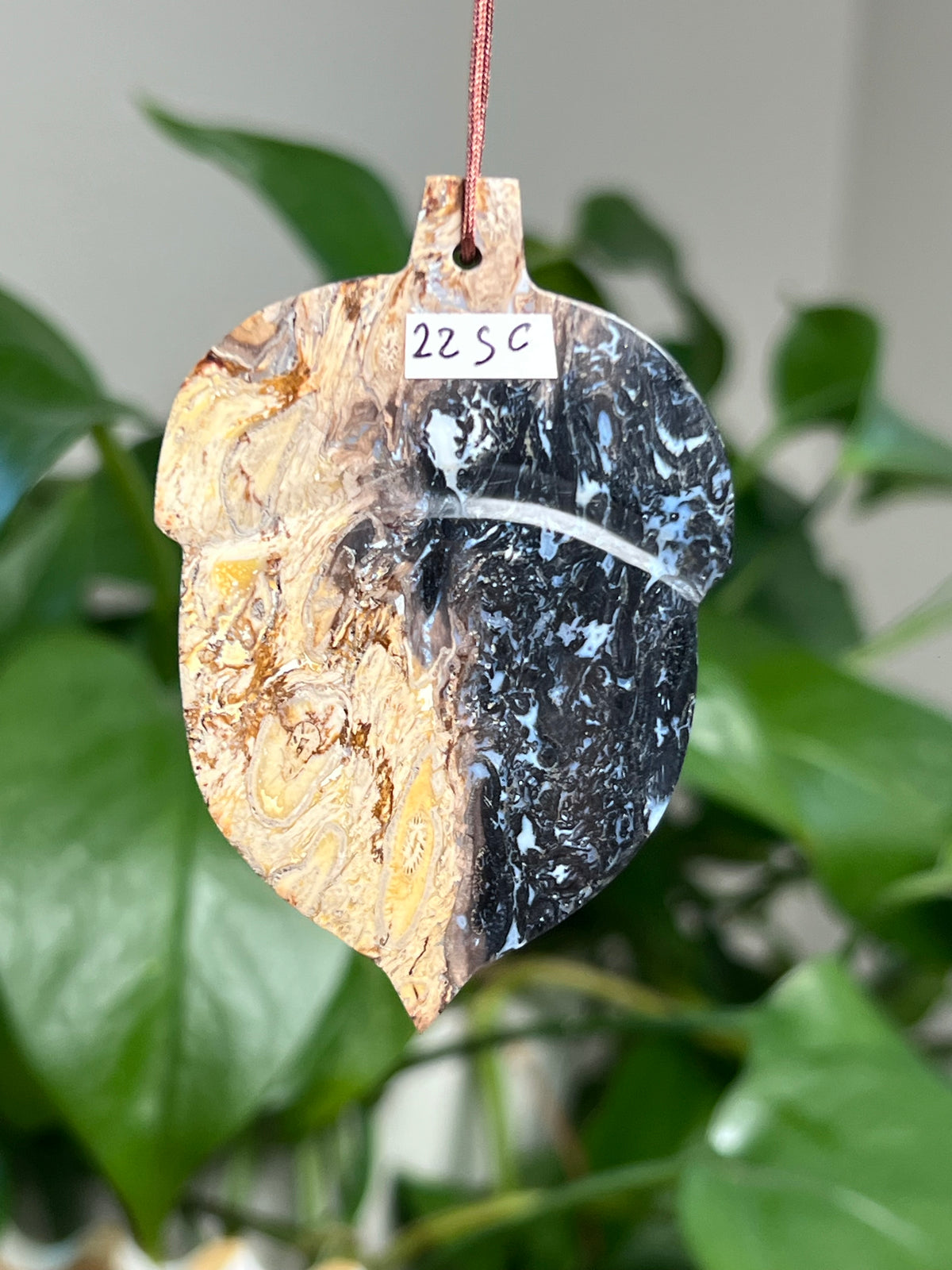 Palm Root Acorn Ornaments