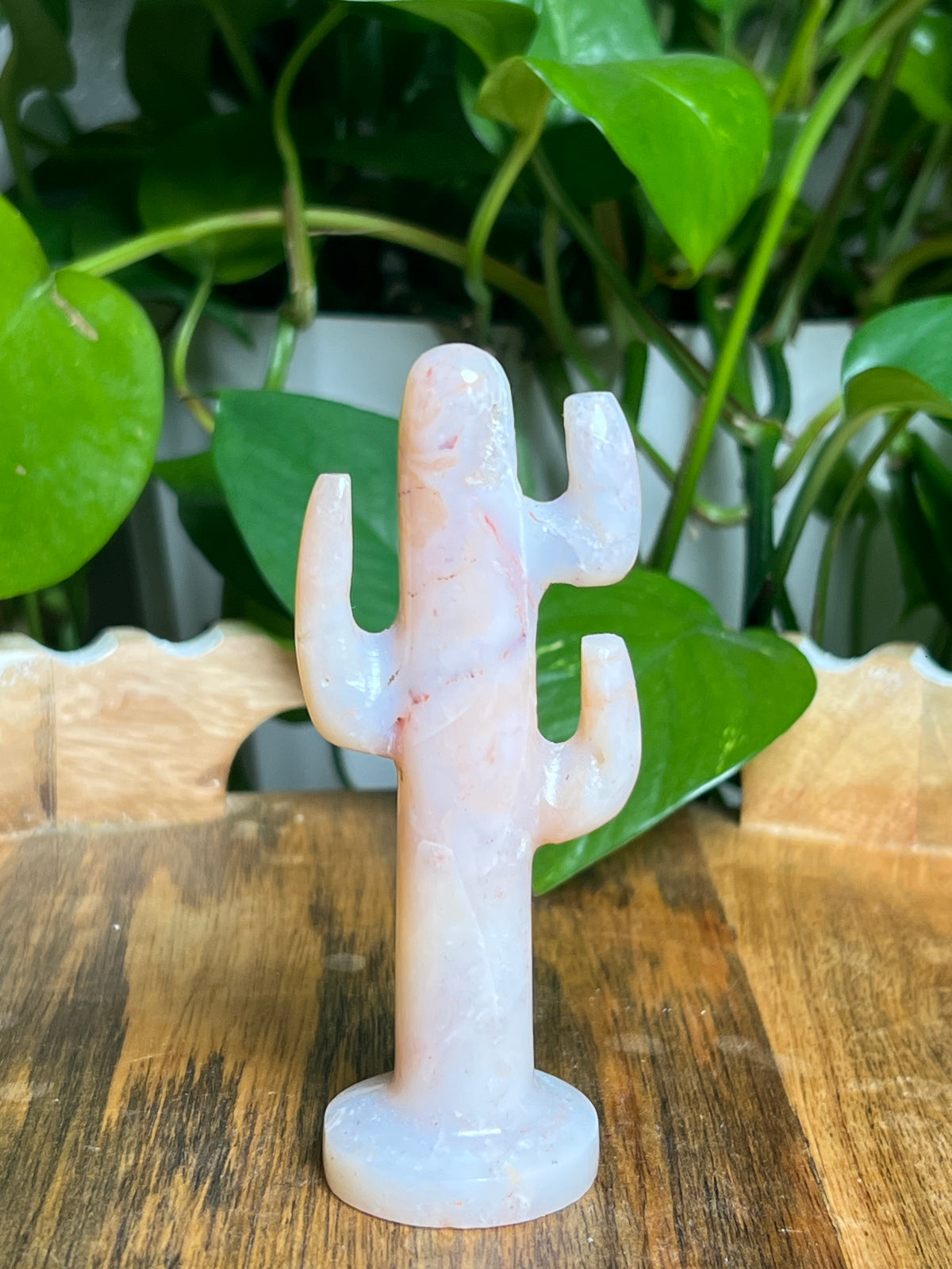 Pink Carnelian Cactus: NA