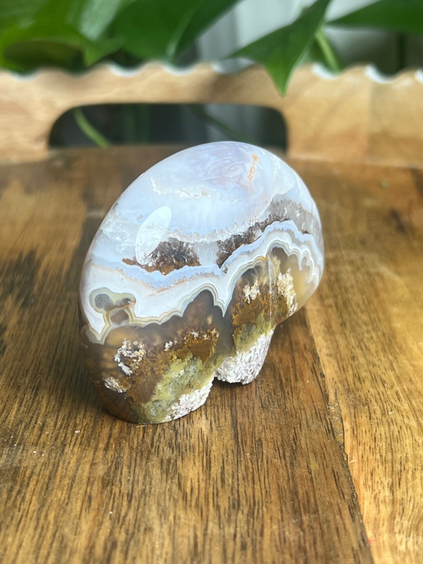 Scenic Moss Agate Bear BX