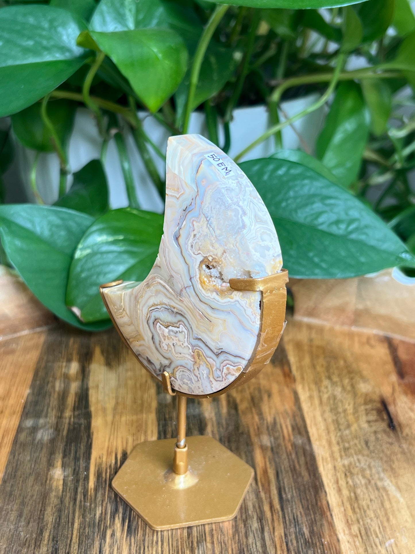 Yellow Crazy Lace Agate Moon: EM