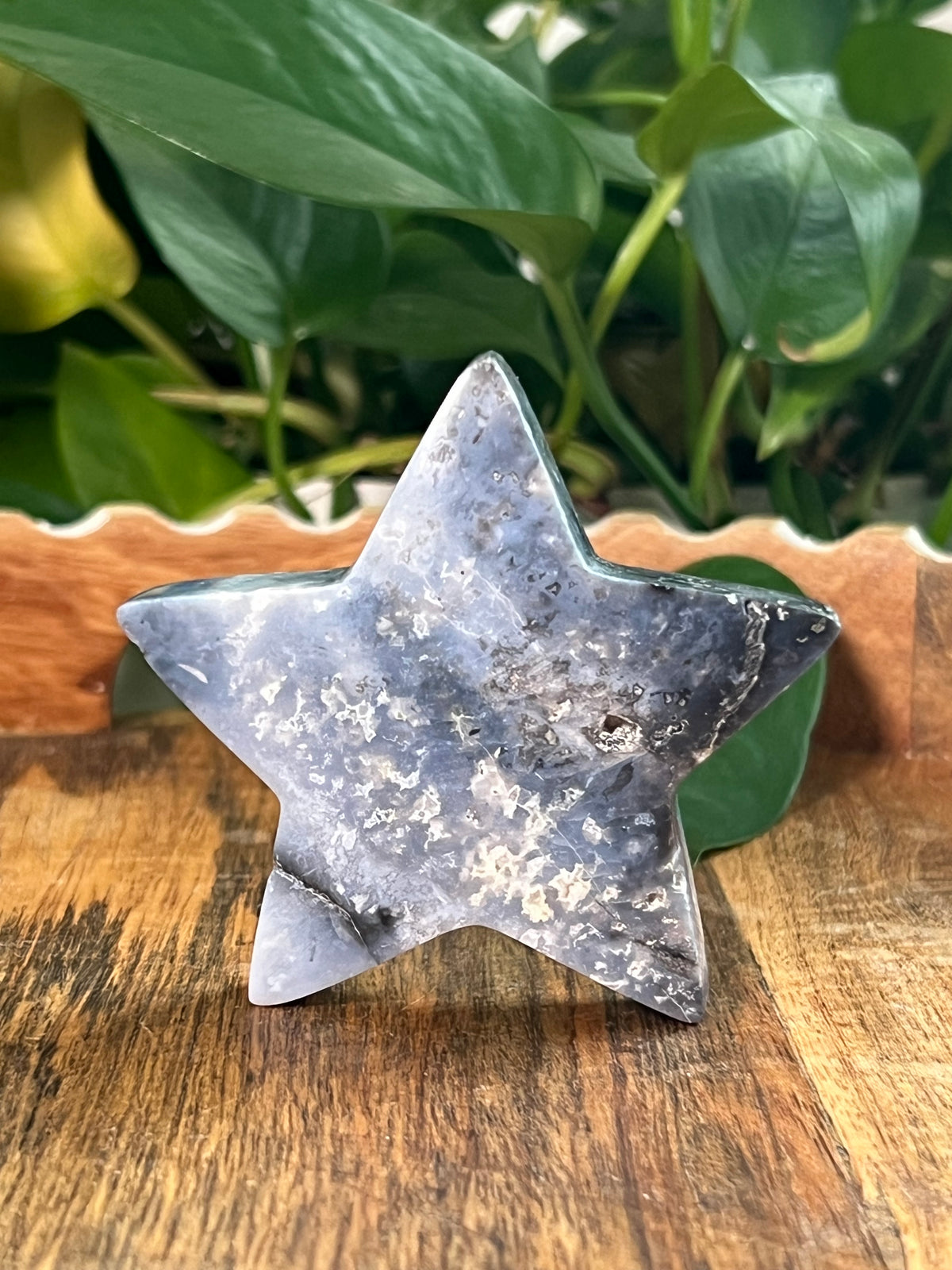 Blue Plume Agate Stars