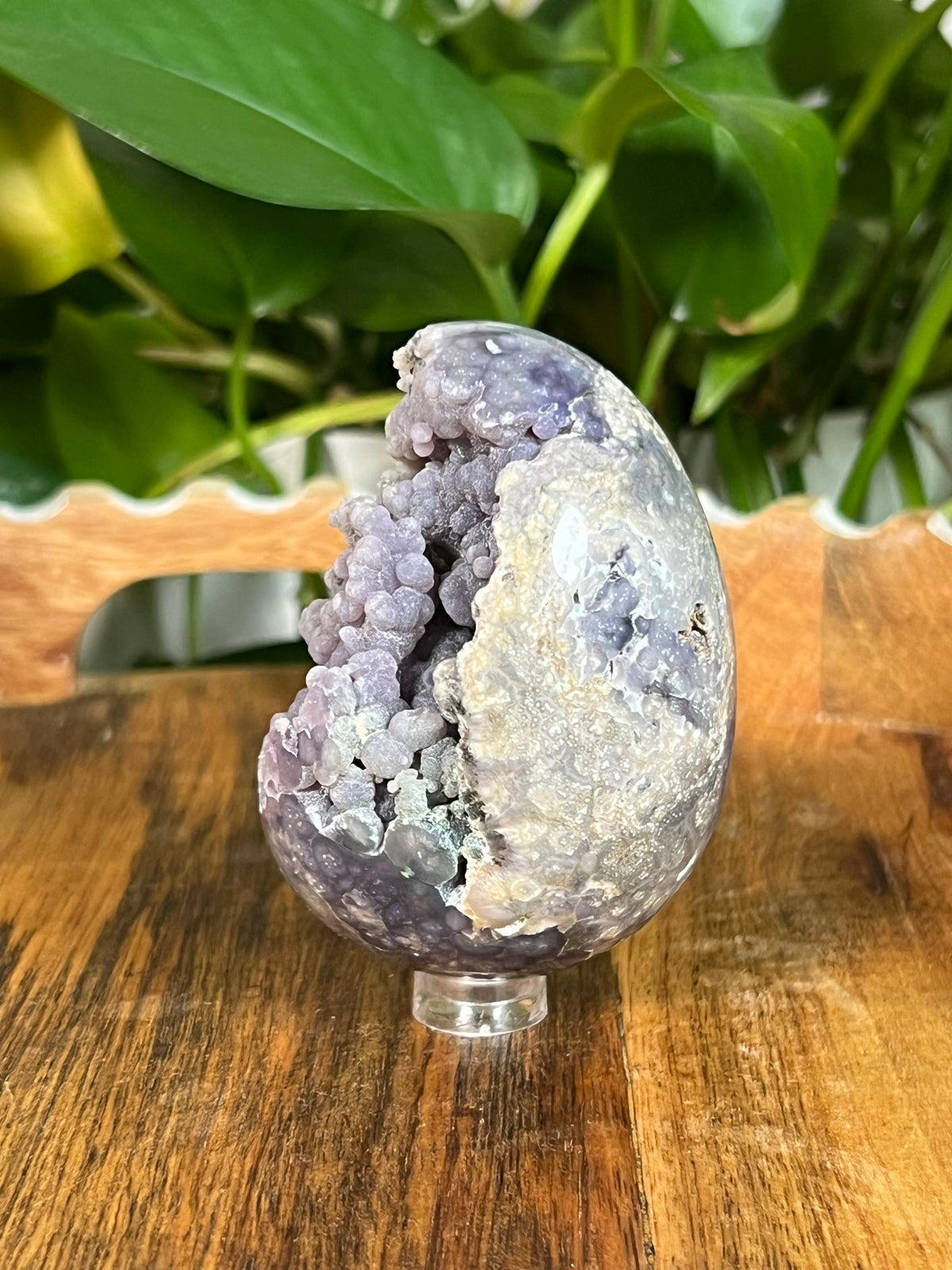 Grape Agate Egg: NA