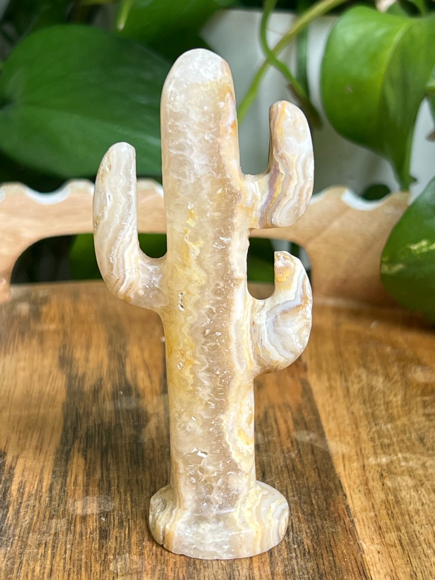 Yellow Crazy Lace Agate Cactus