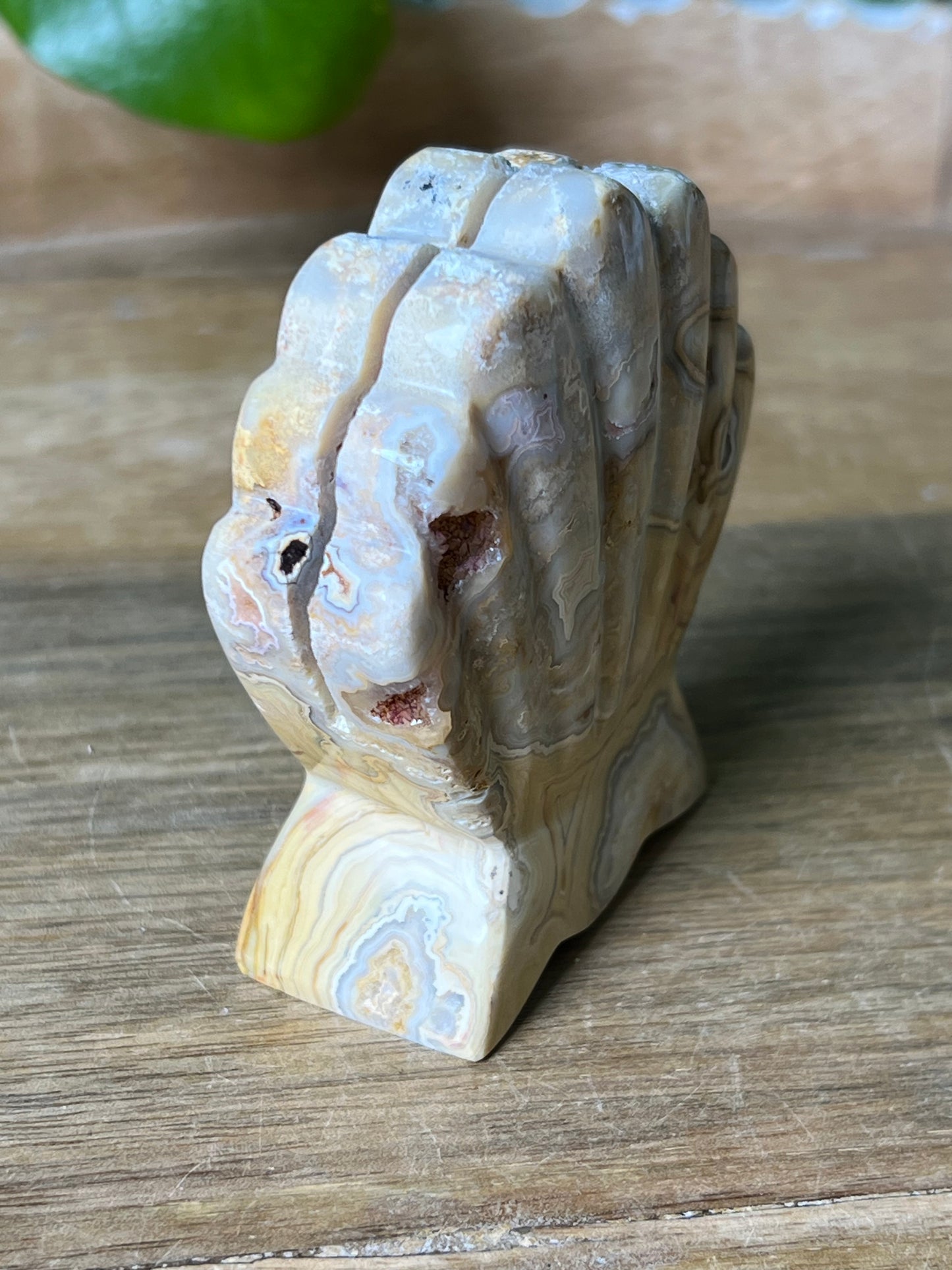 Crazy Lace Agate Shell