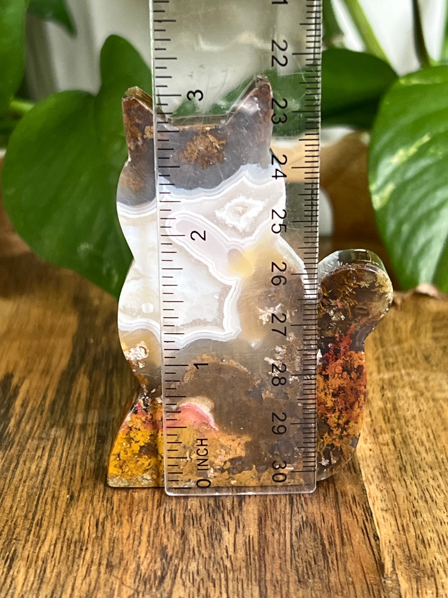 Scenic Moss Agate Cat HY