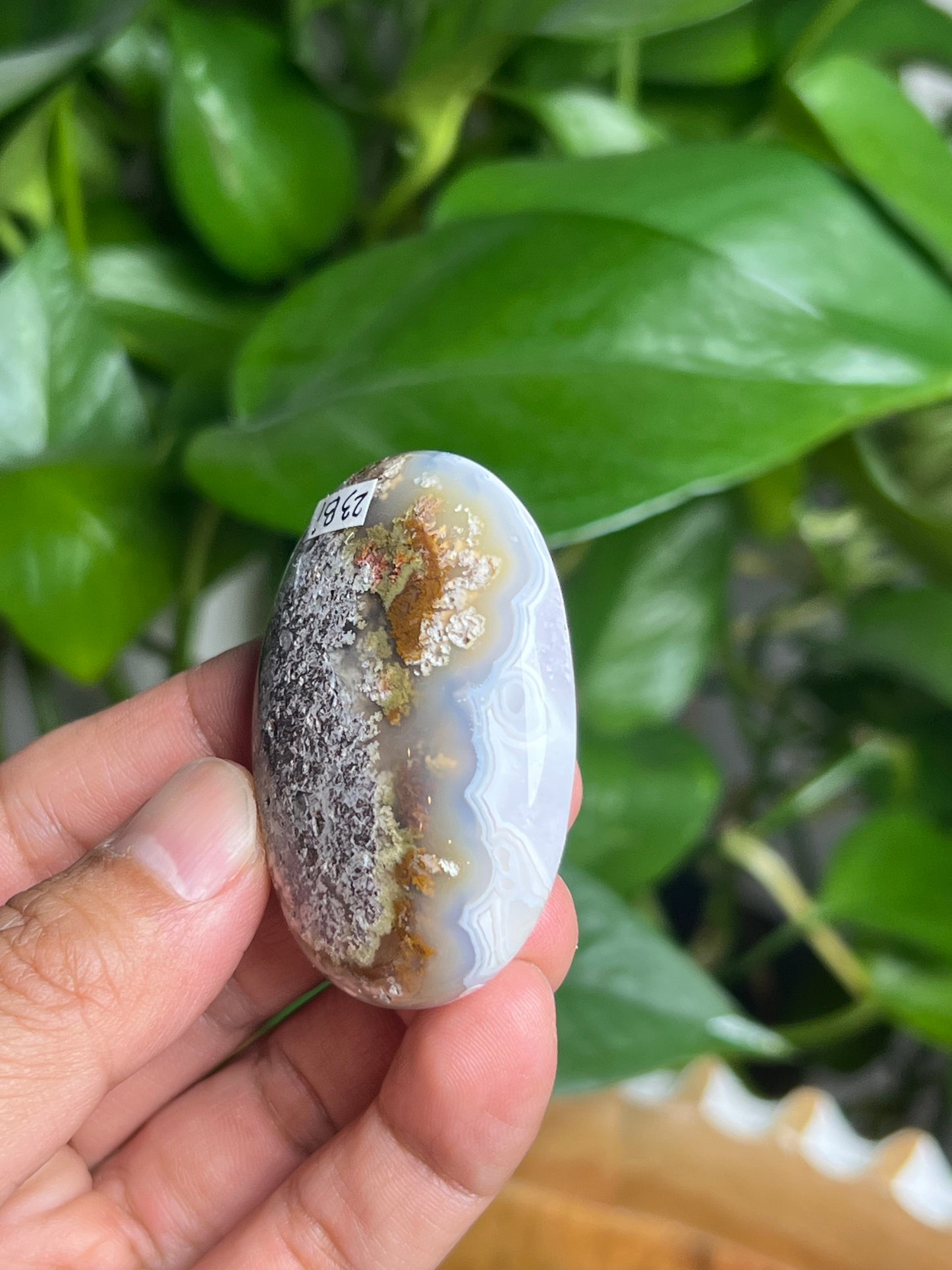 Scenic Moss Agate Palmstone: Bi