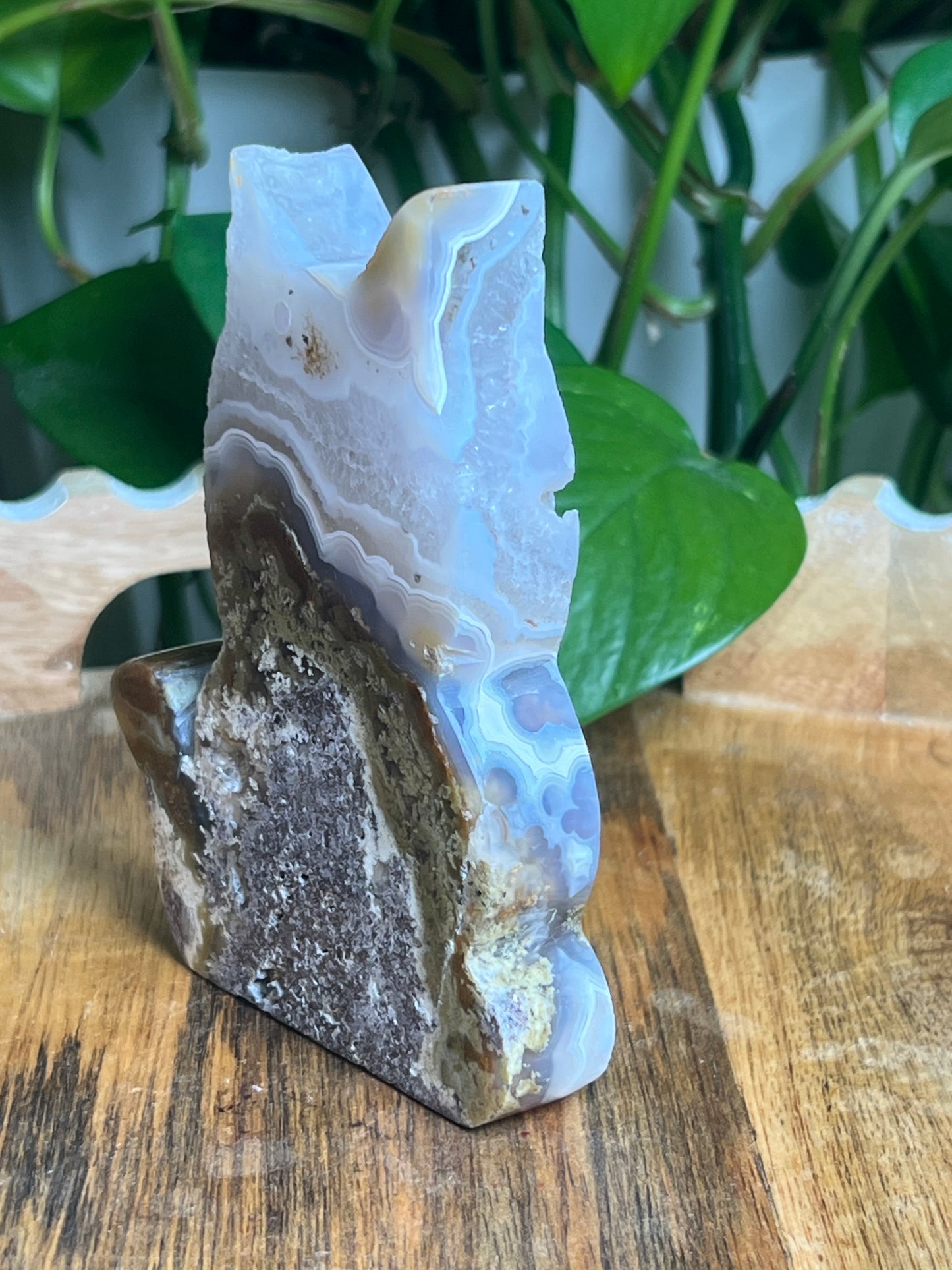 Scenic Moss Agate Cat: AD