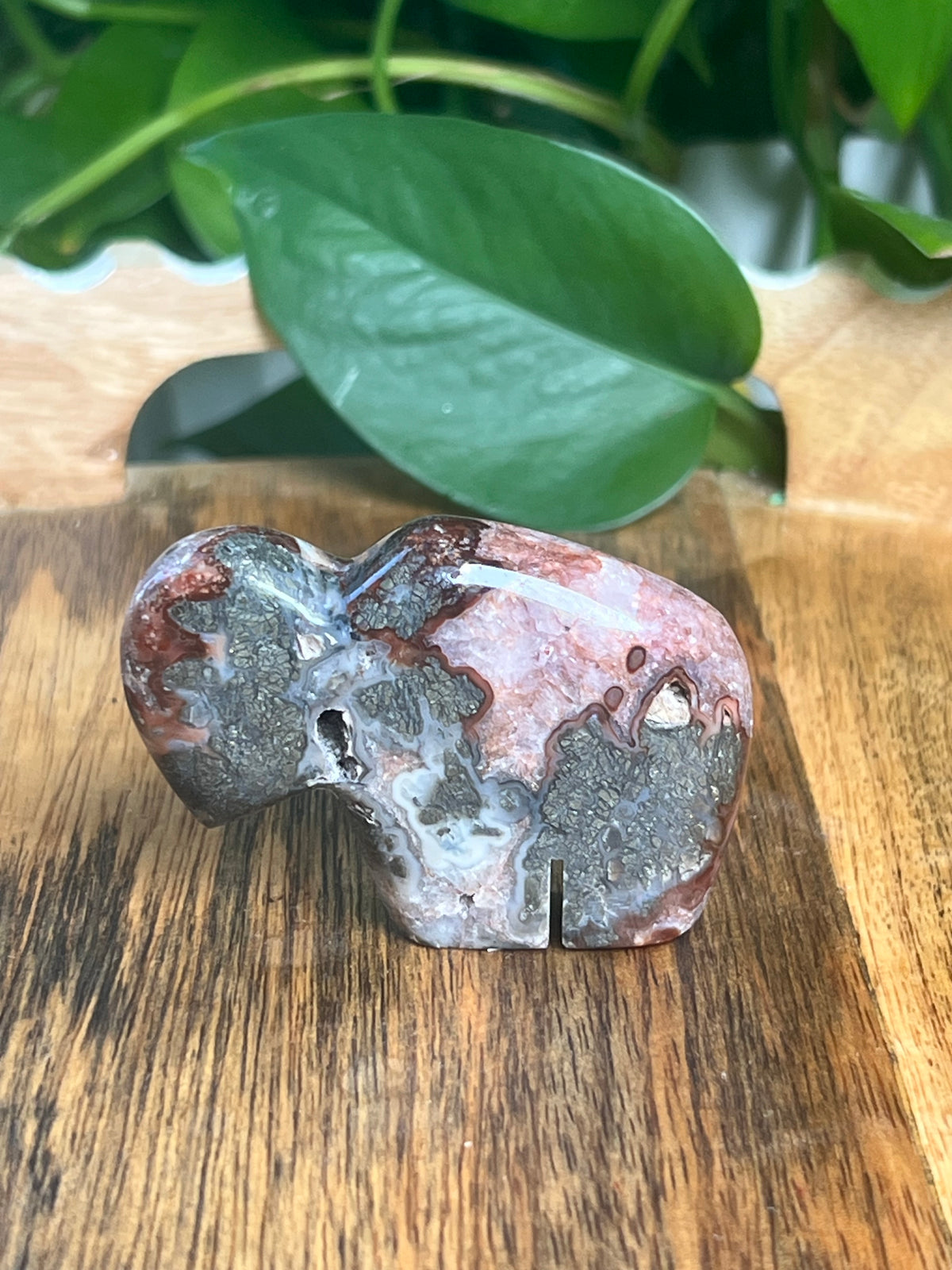 Marcasite Mini Buffalo: MB