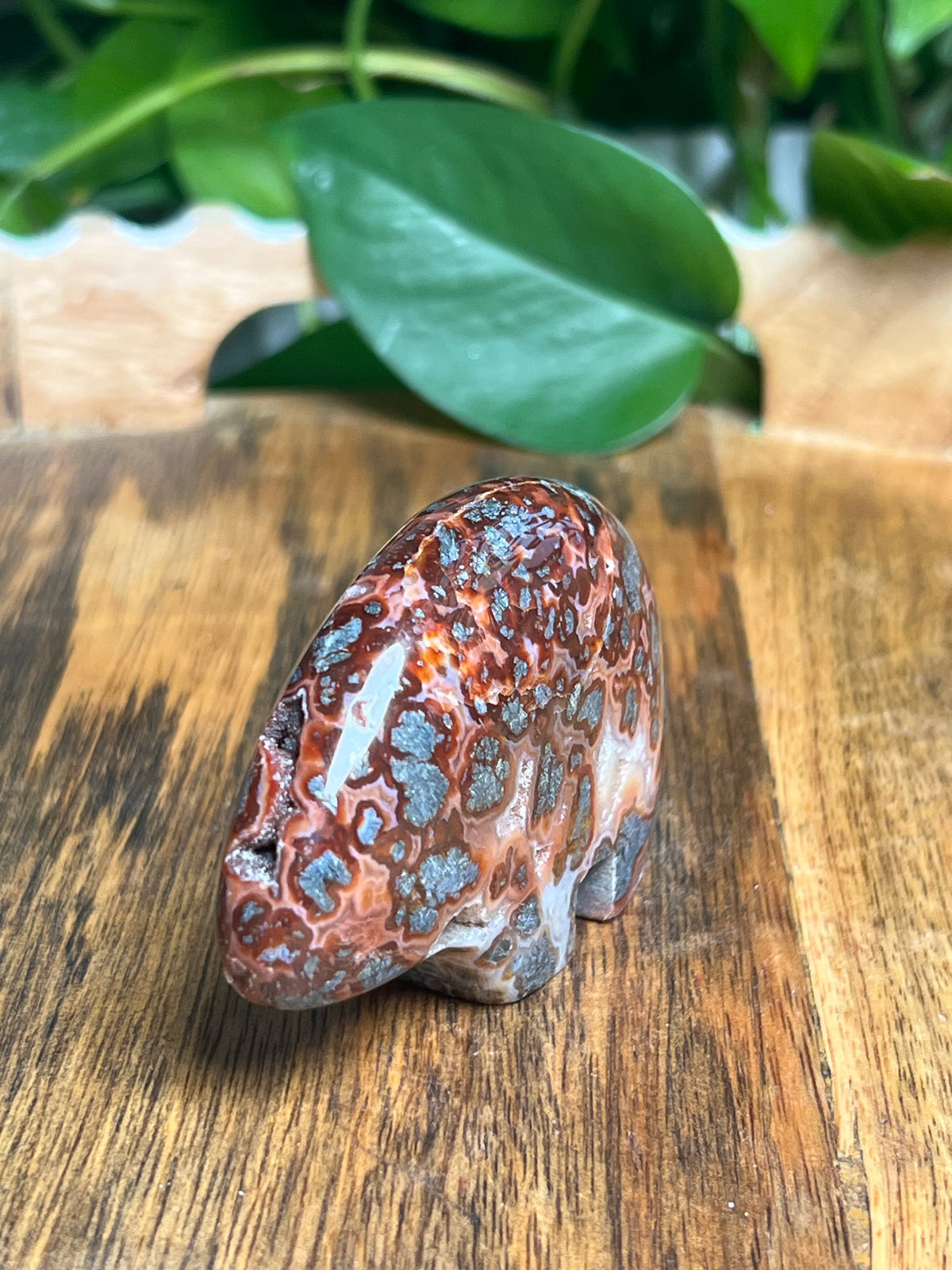Marcasite Bear: PF