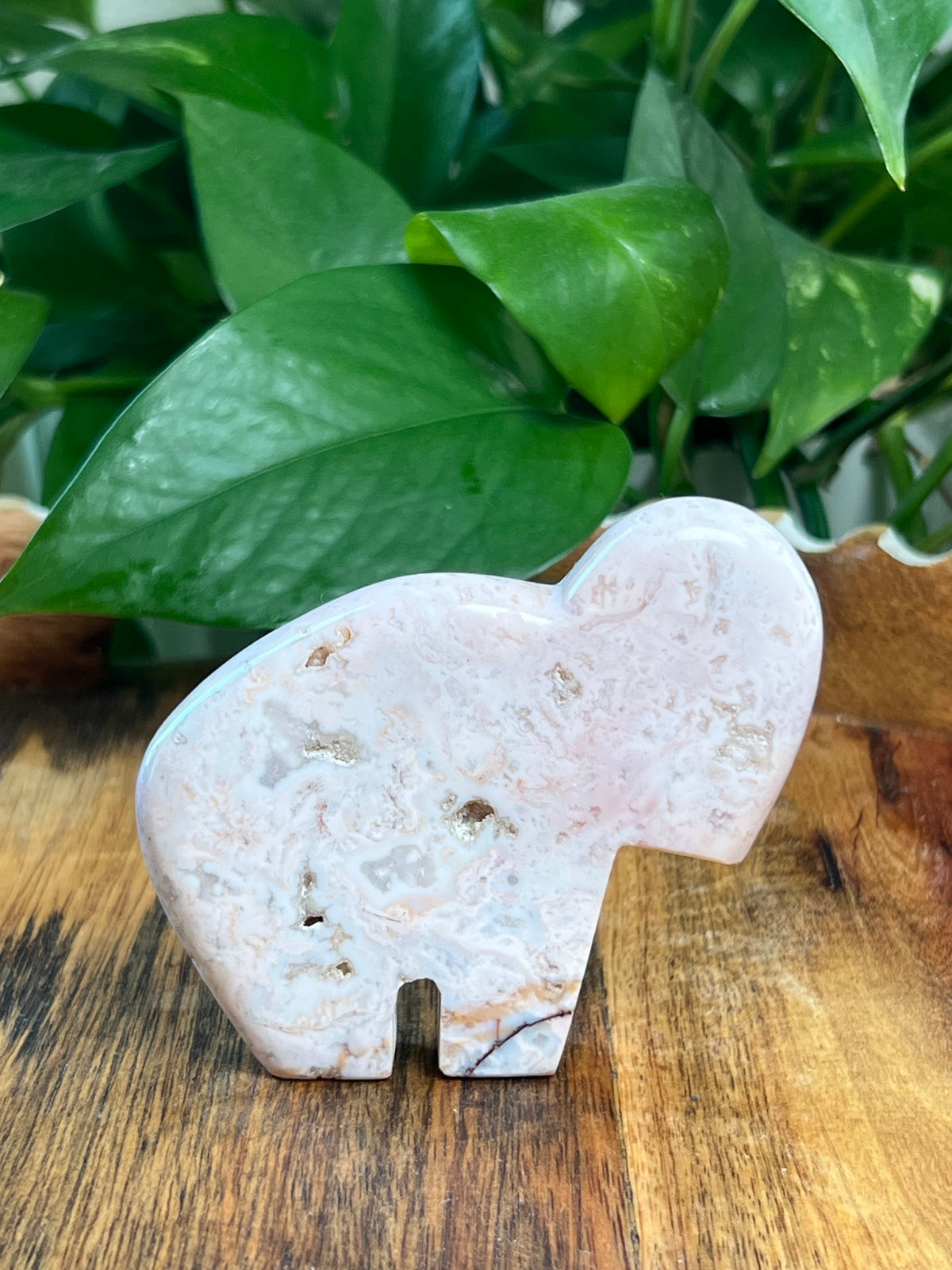 Pink Carnelian Buffalo: VA