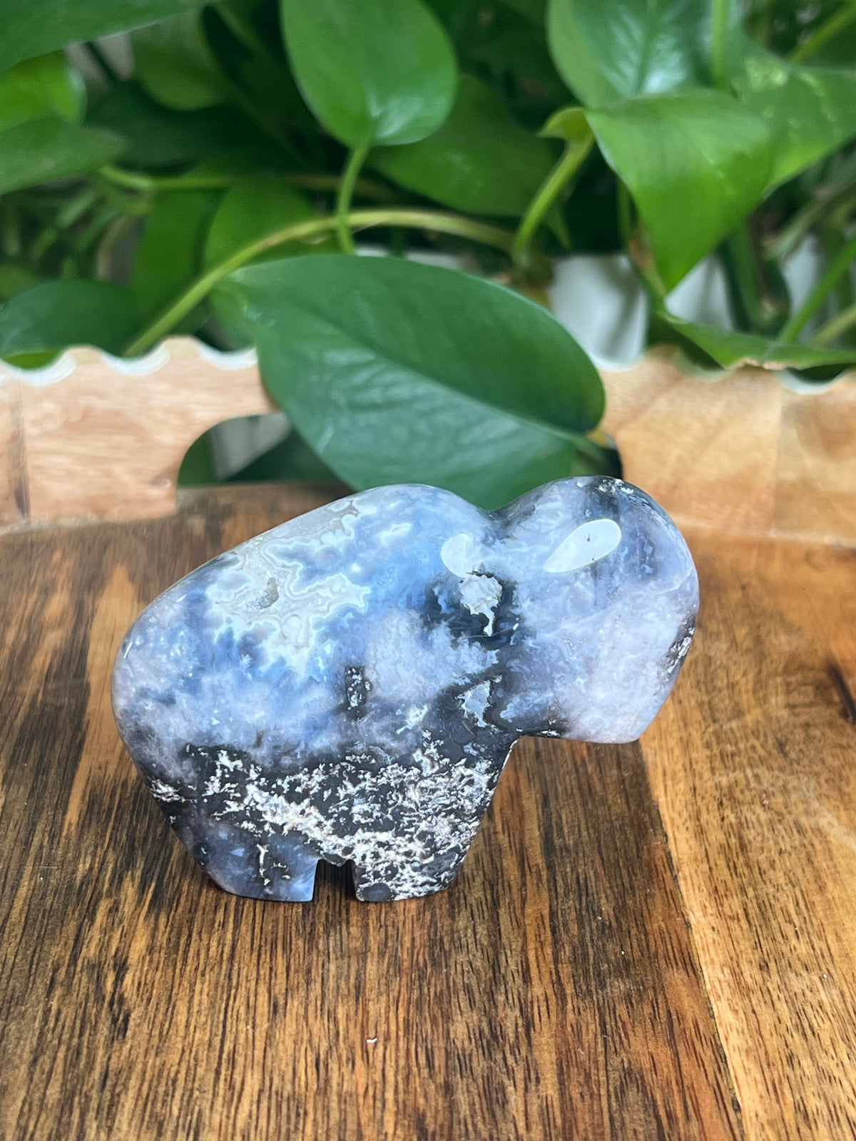 Blue Plume Agate Buffalo: BA