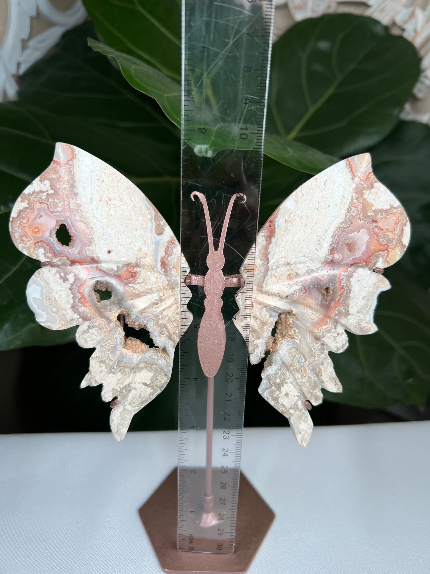 Crazy Lace Agate Wings