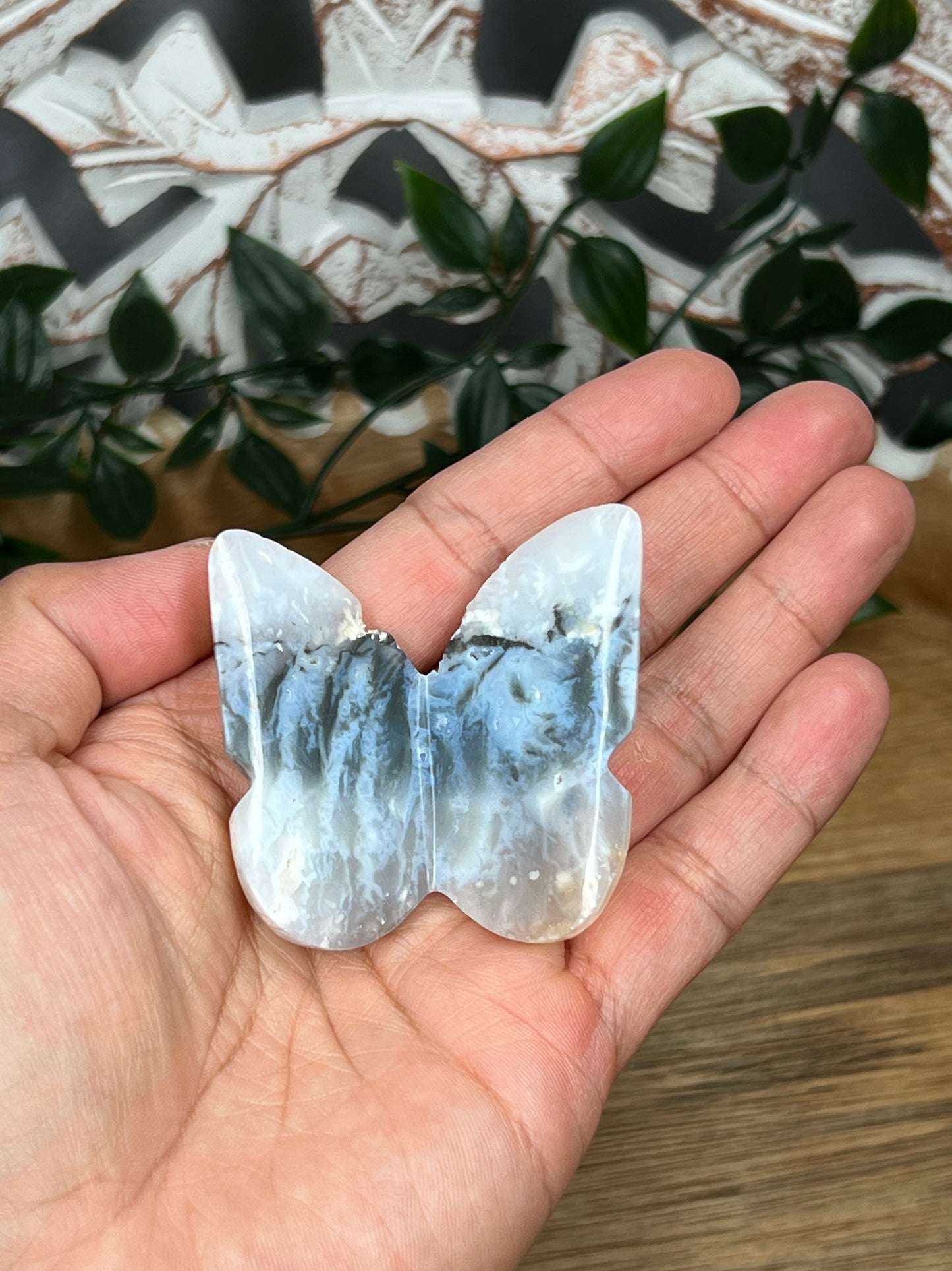 Rainbow Plume Agate 3D Butterfly