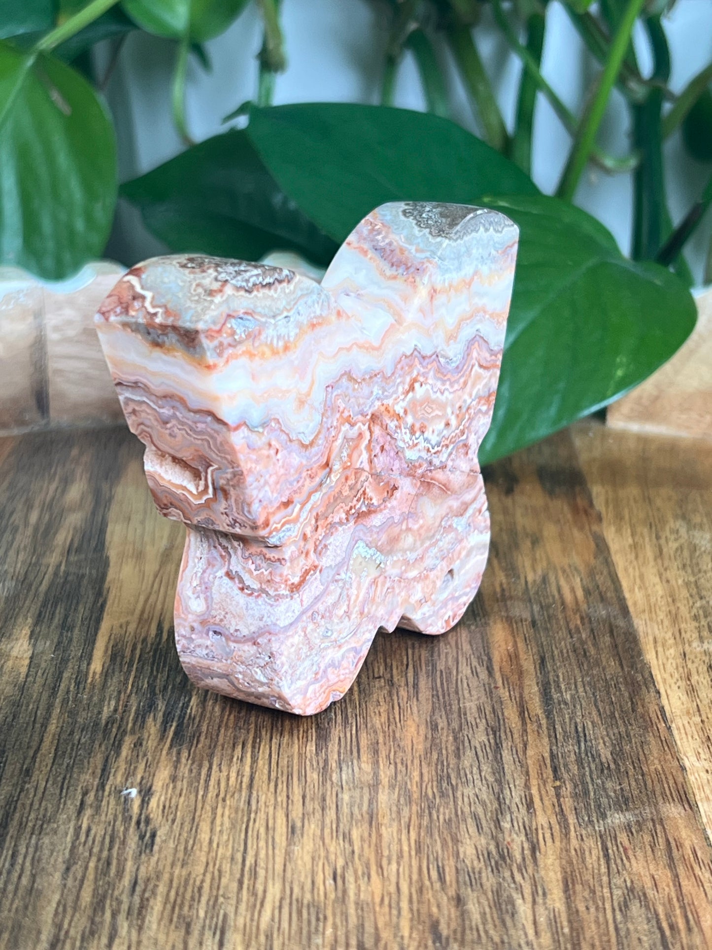 Crazy Lace Agate Butterfly: C