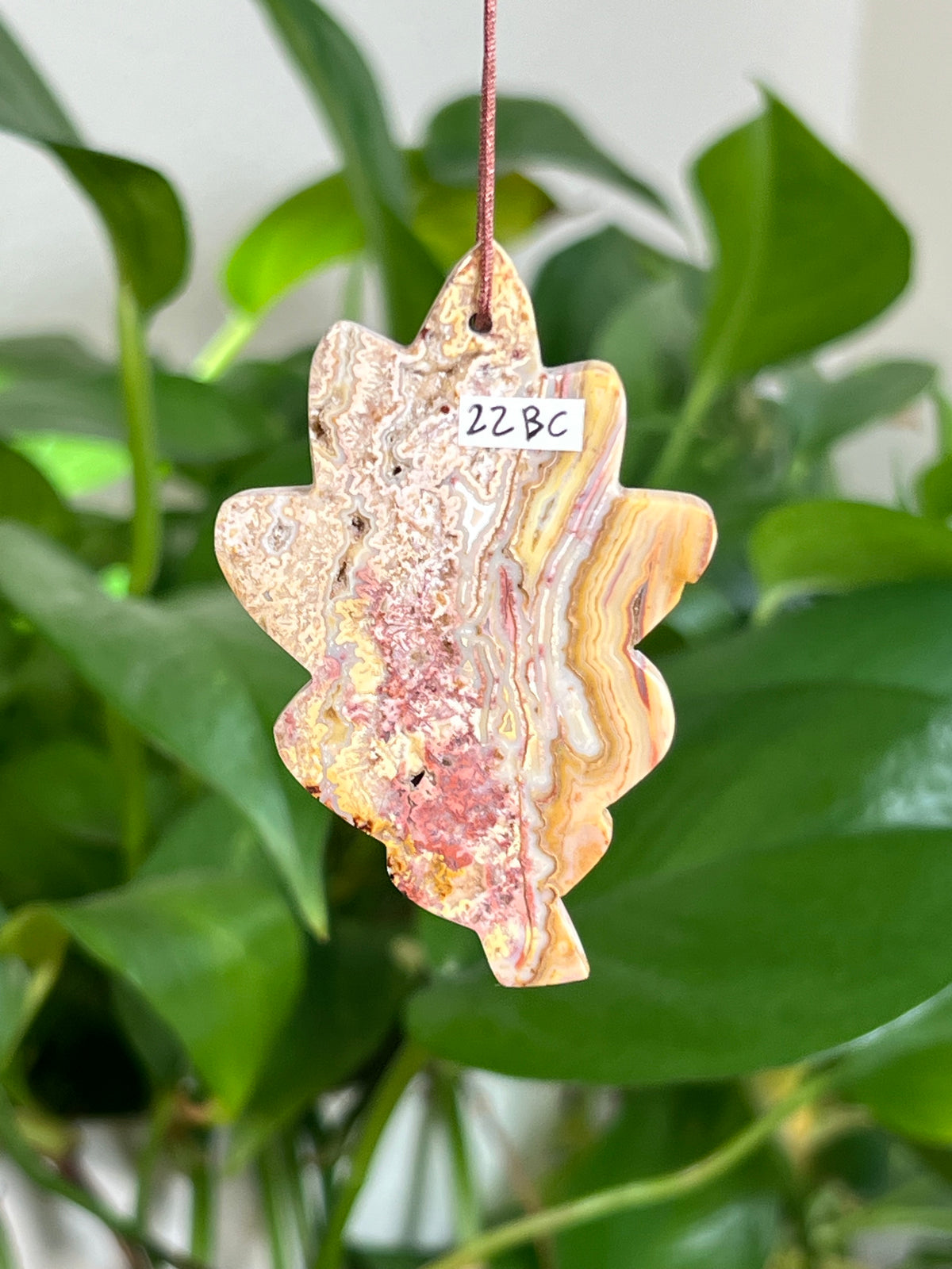 Crazy Lace Agate Leaf Ornaments