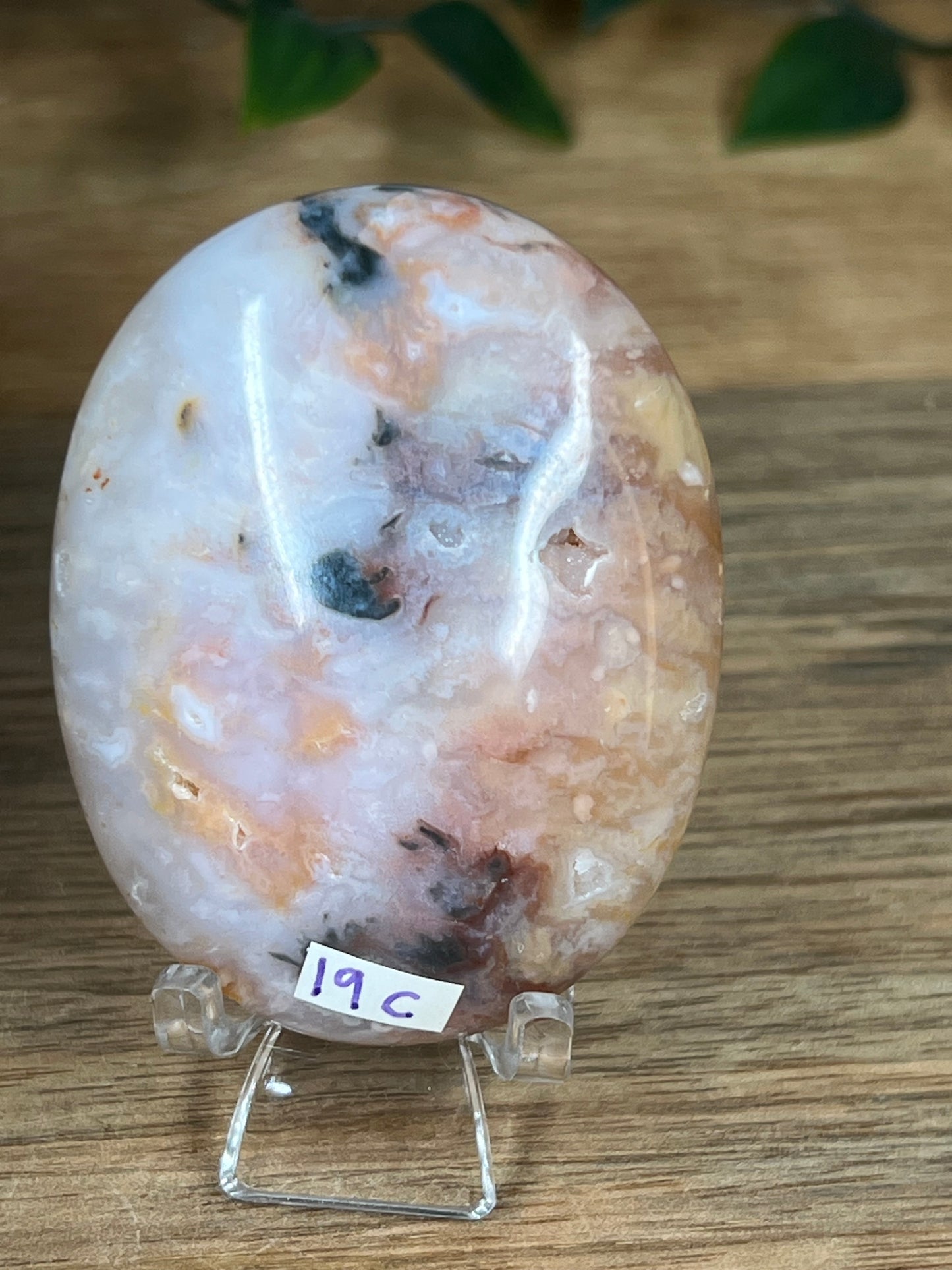 Rainbow Plume Agate Palmstone