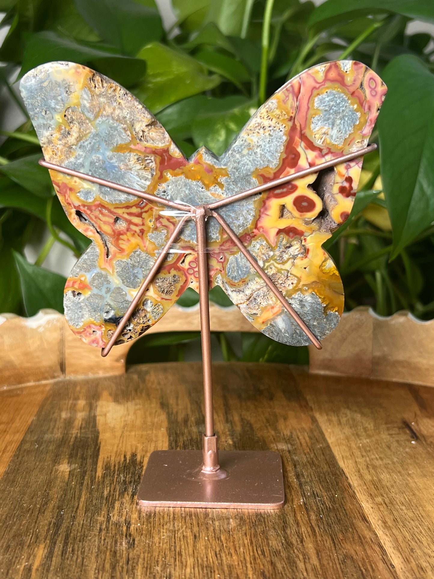 Marcasite Butterfly