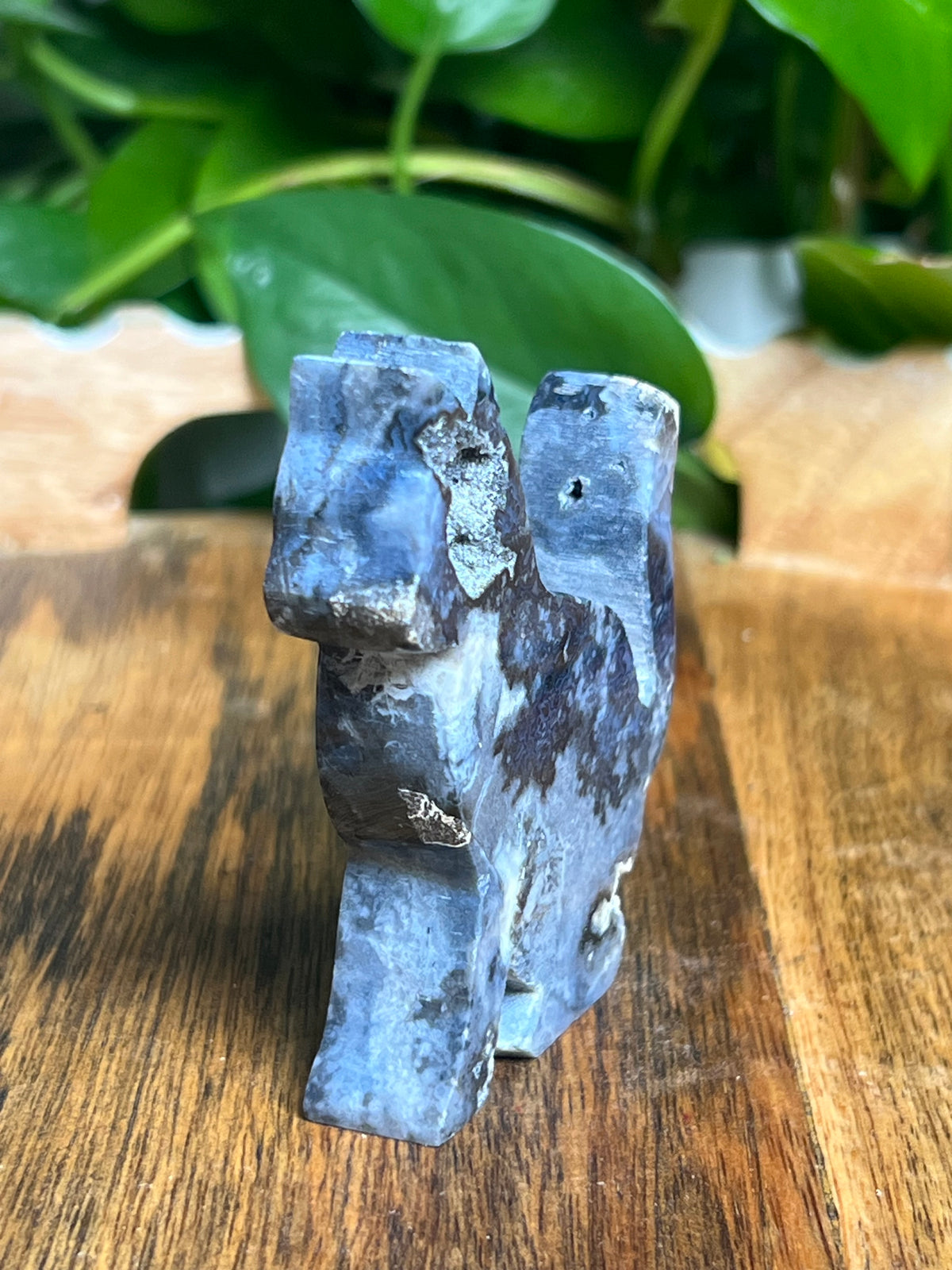 Blue Plume Agate Cat: LB