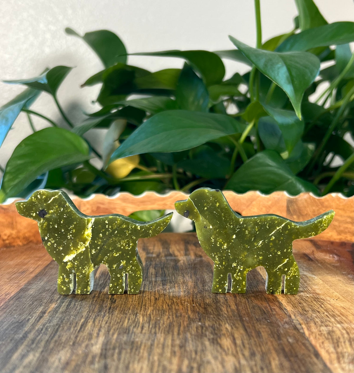 Idocrase Dogs