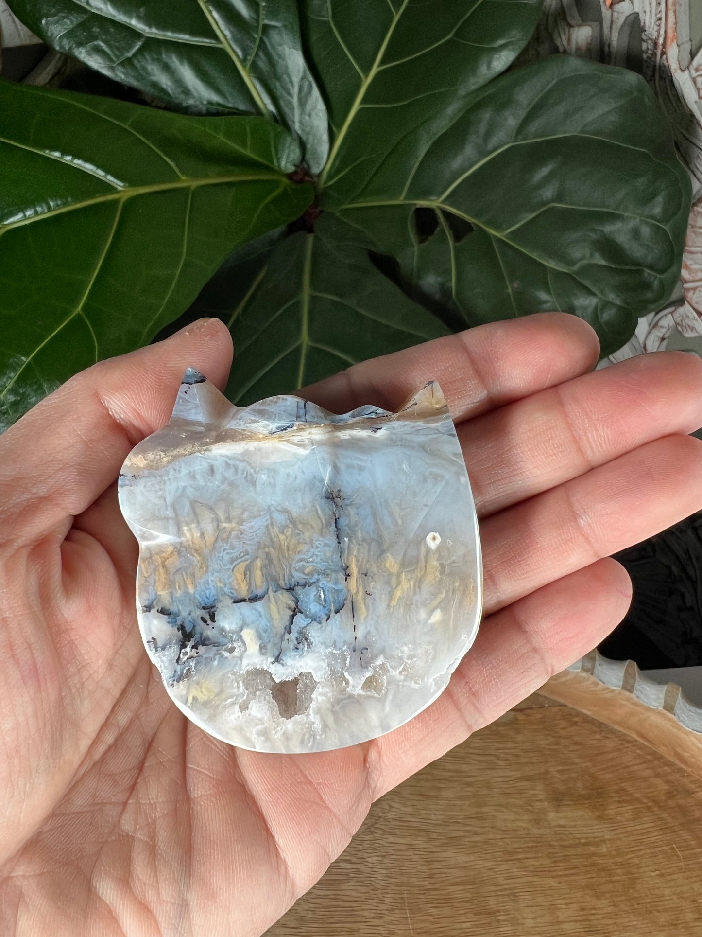 Tiger Dendritic Agate Cat