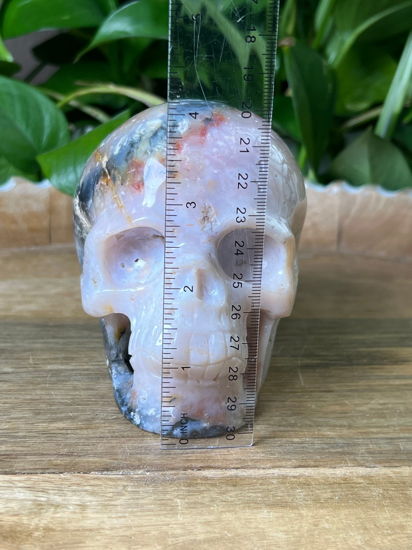 Rainbow Plume Agate Skull