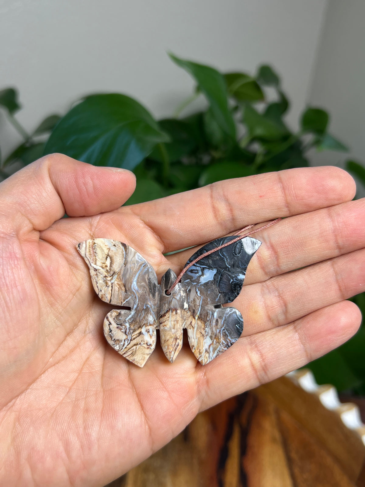 Palm Root Butterfly Ornaments